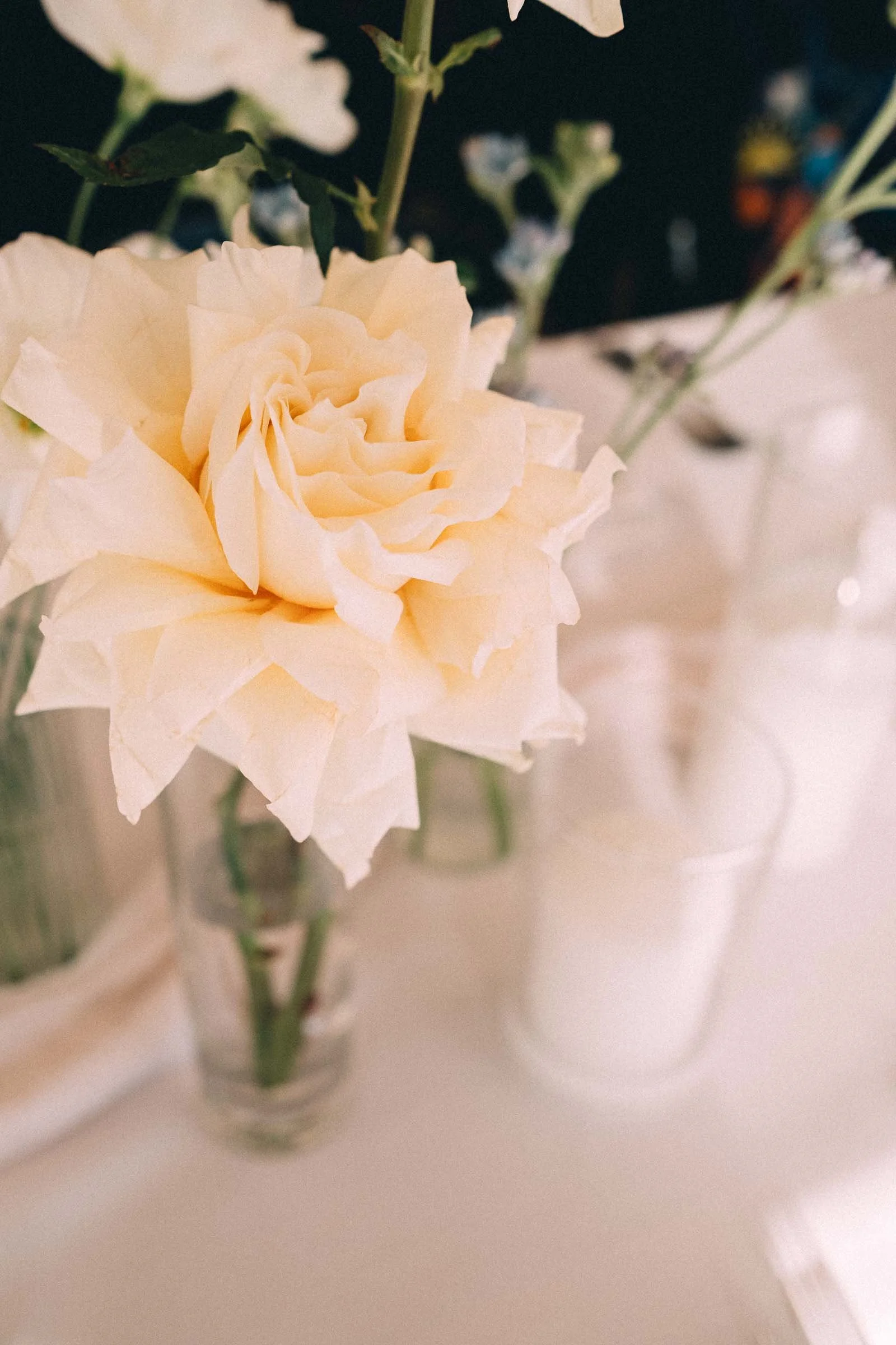 BRIGHTON_BATH_CLUB_MELBOURNE_WEDDING-54.jpg