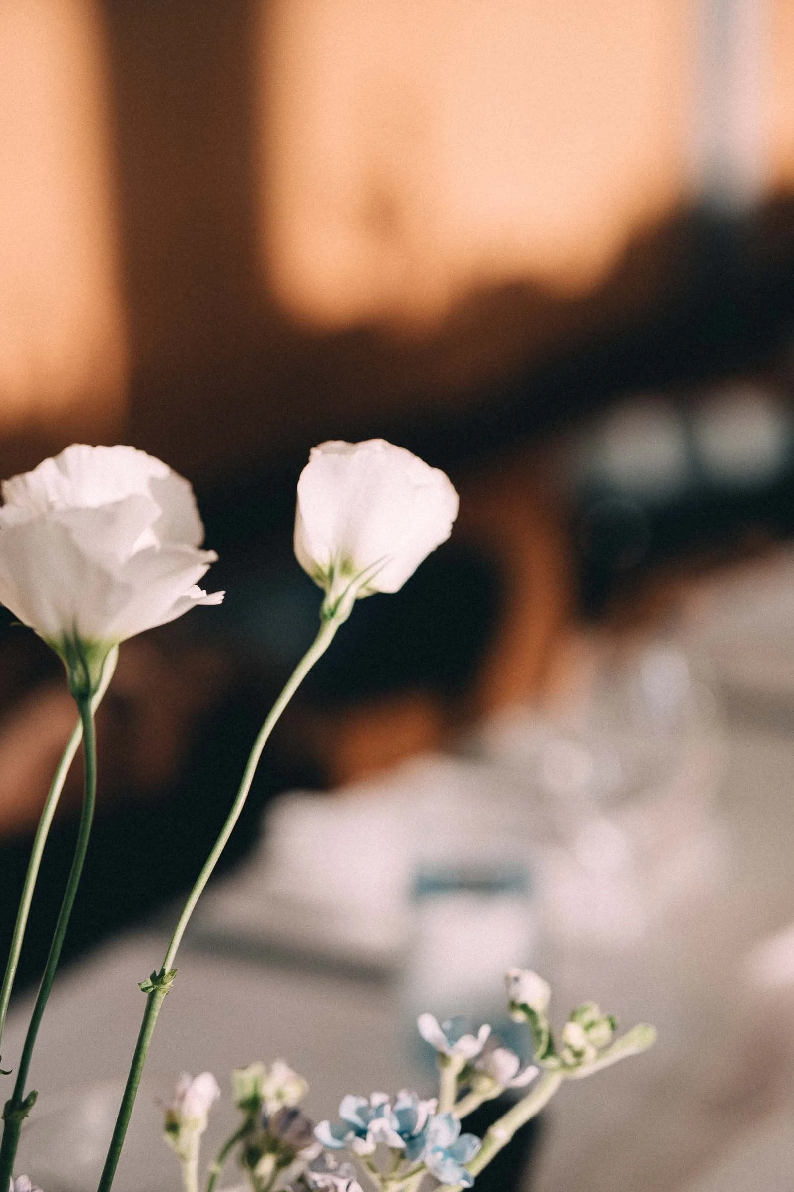 BRIGHTON_BATH_CLUB_MELBOURNE_WEDDING-115.jpg