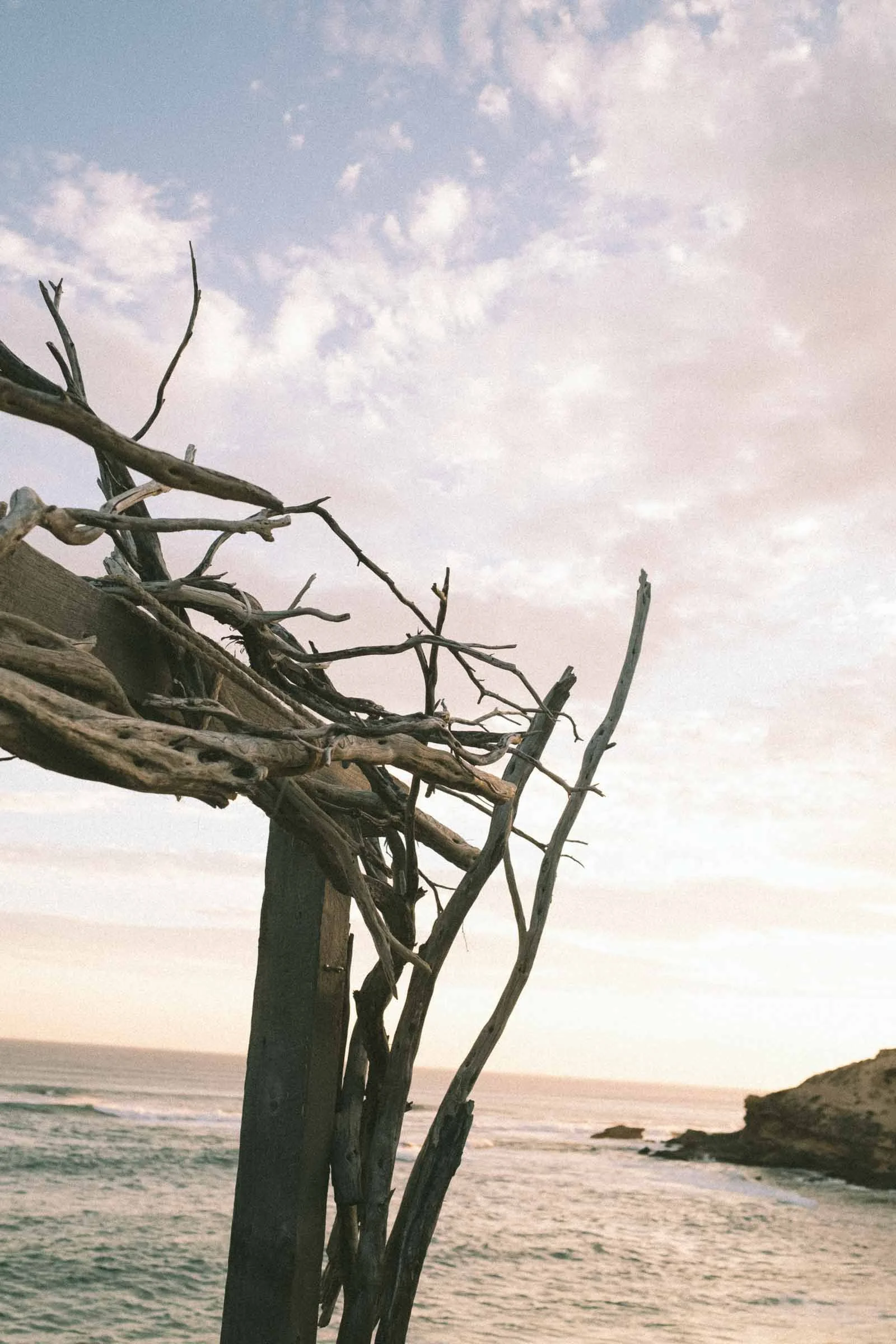 MORNINGTON_PENINSULA_WEDDING-136.jpg