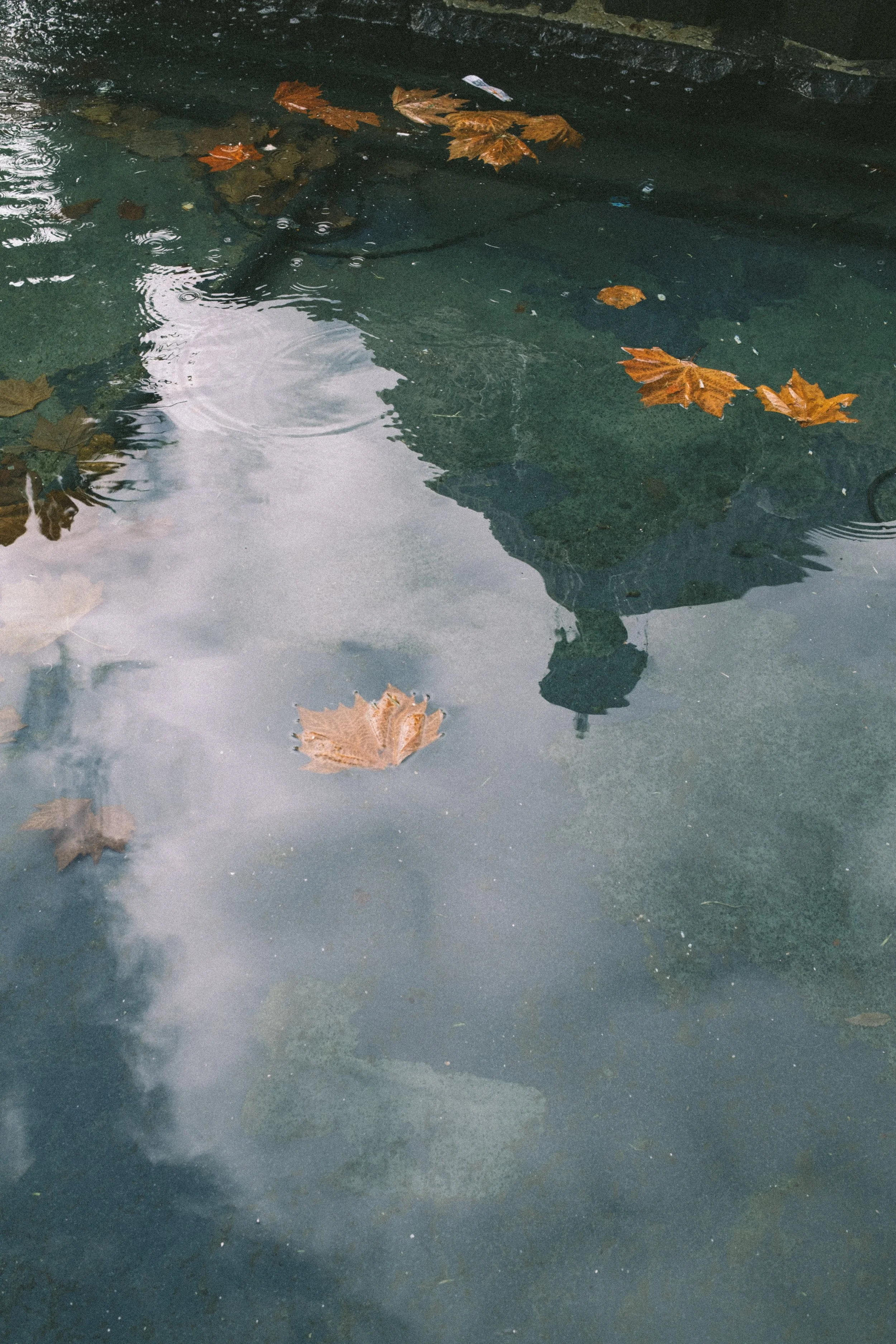 IMAGE_SELECTION-6.jpg