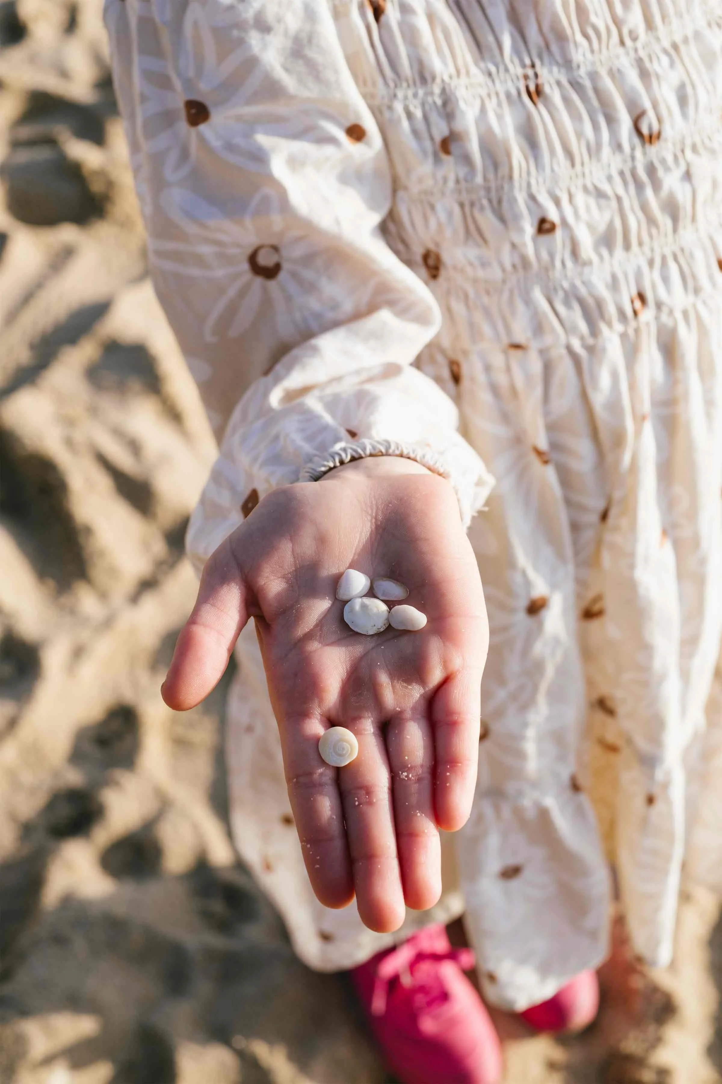 Child in a floral dress holding seashells on the beach.