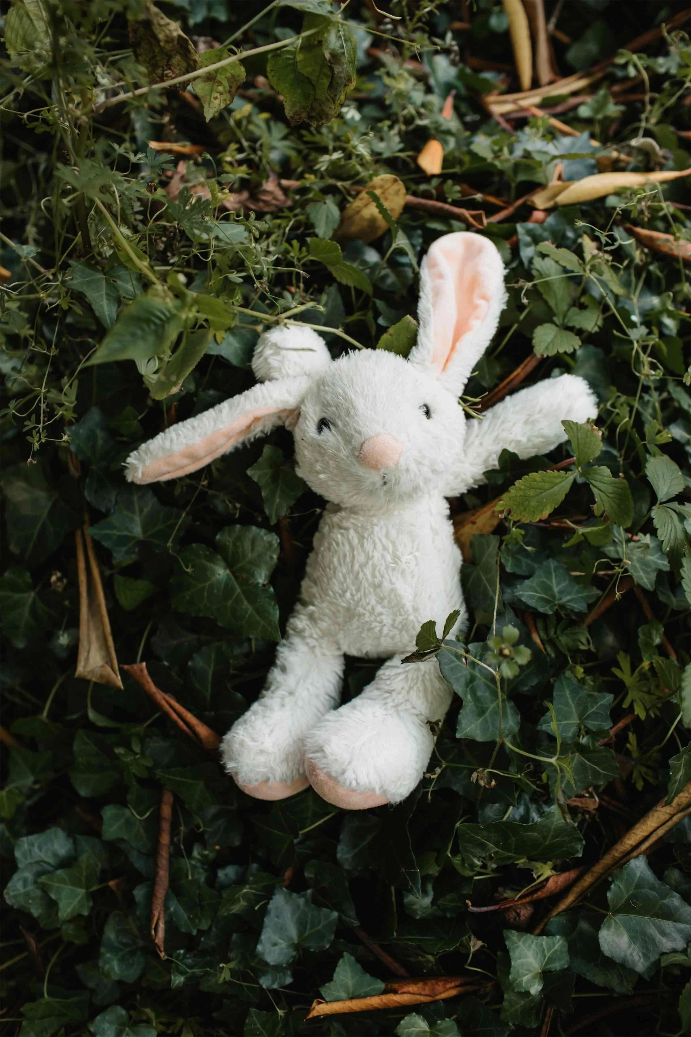 A plush white stuffed bunny with pink ears and paws lying amidst green ivy and leaf-covered ground.