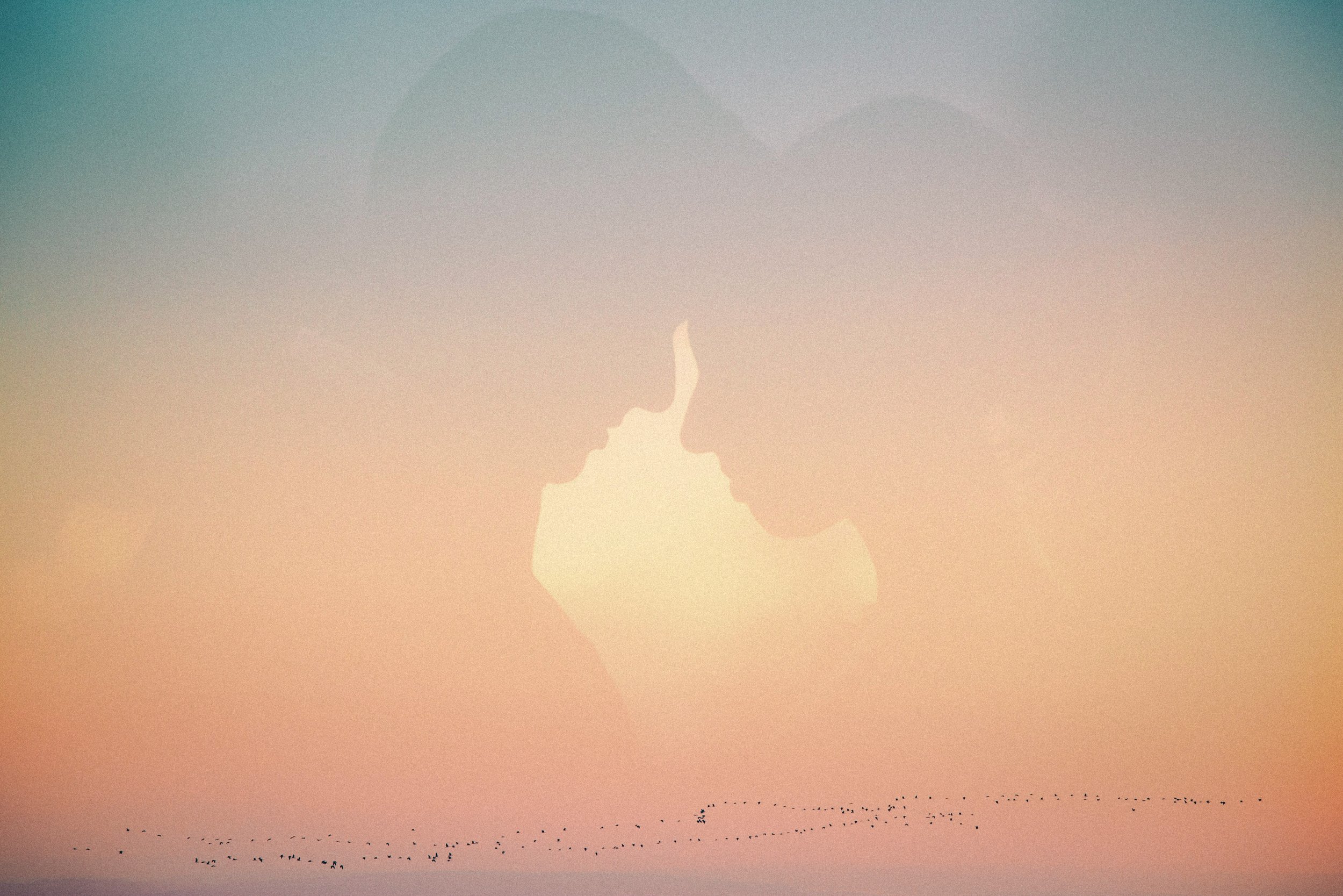 A sunset or sunrise sky with a large, semi-transparent silhouette of a person and a dog, and a flock of birds flying across the horizon.