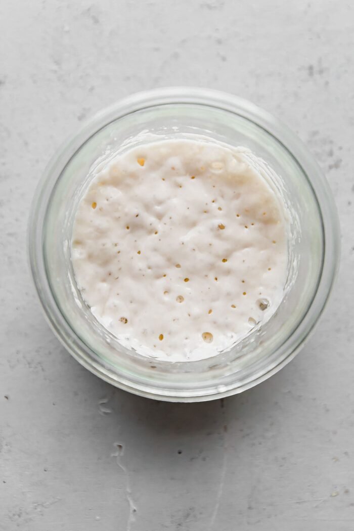 Reviving Your Sourdough Starter A StepbyStep Guide to Rehydrating