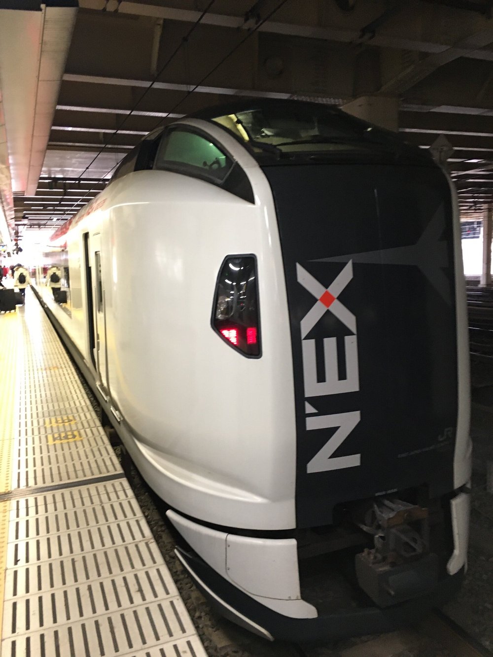 Narita Express (Tokyo-NRT Airport Transfer)