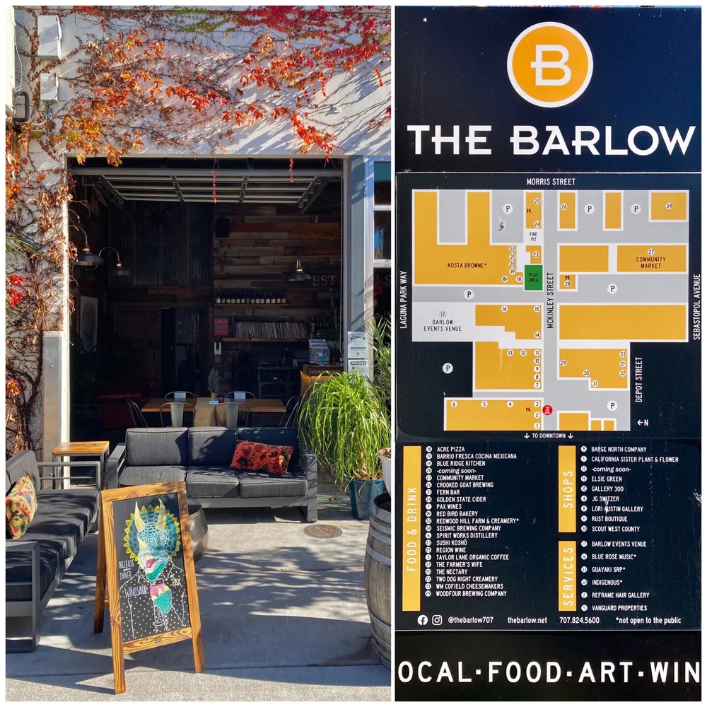 Drive to Sebastapol For Local Food, Wine, Art