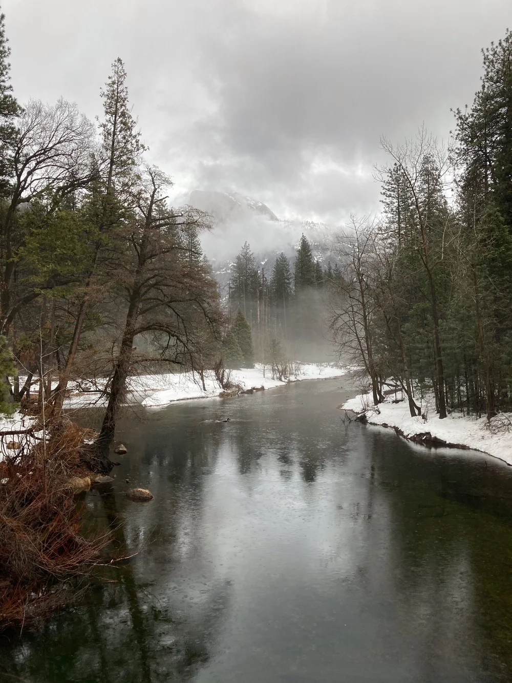 Merced River (Sentinal Bridge)