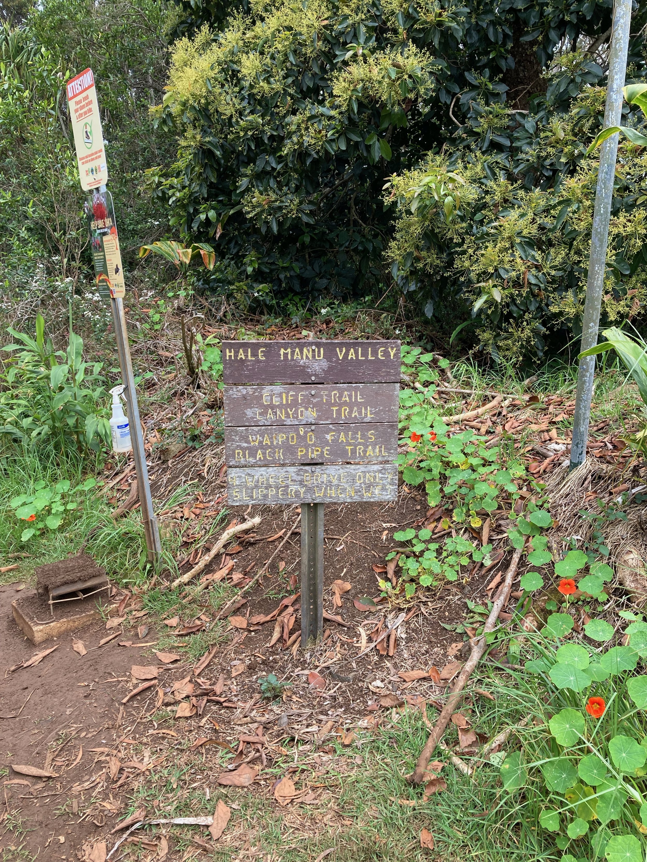 IMG_4812.jpeg