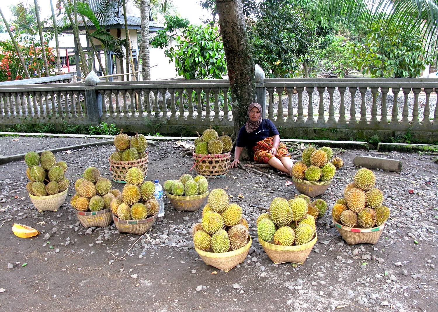 lombok-durion-fruit.jpg