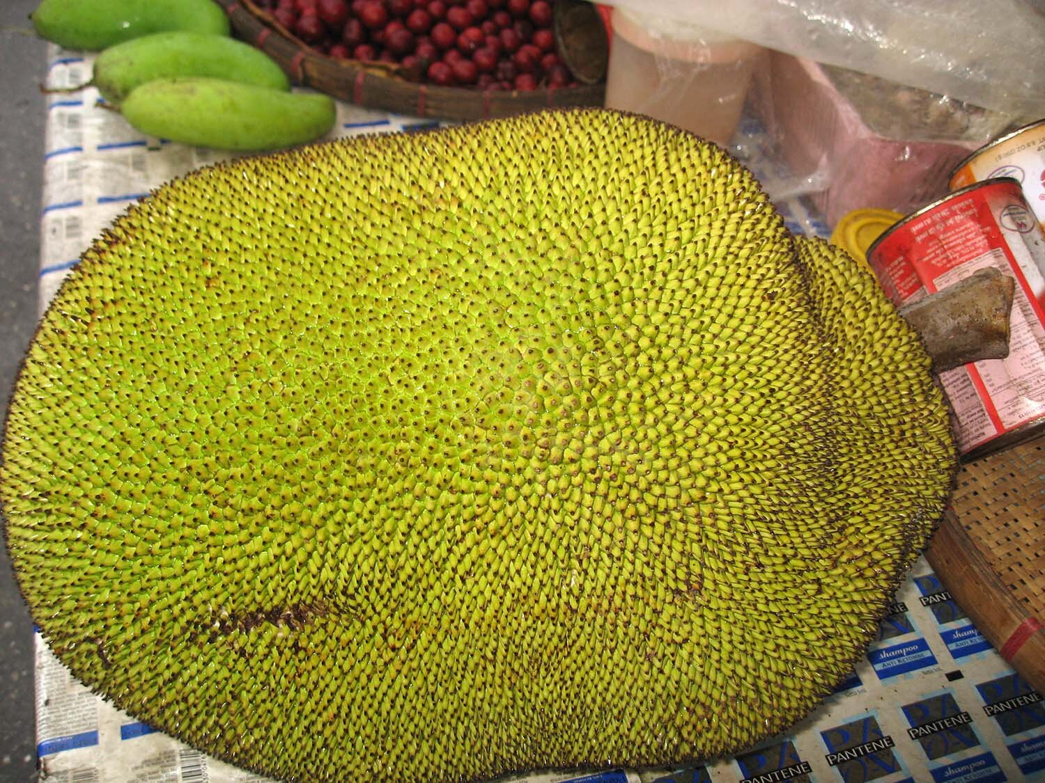 jackfruit.jpg