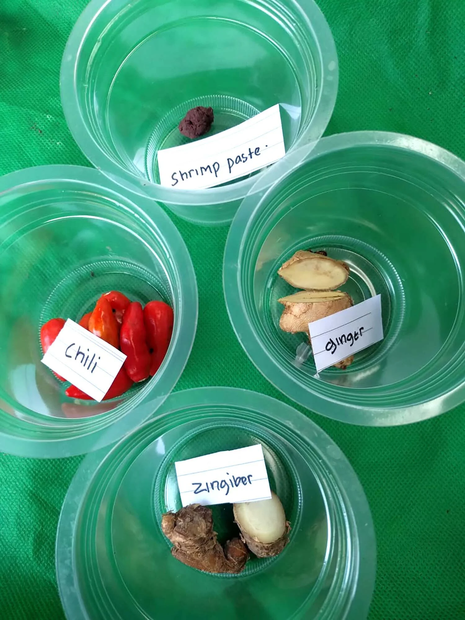 spices-jackfruit.jpg