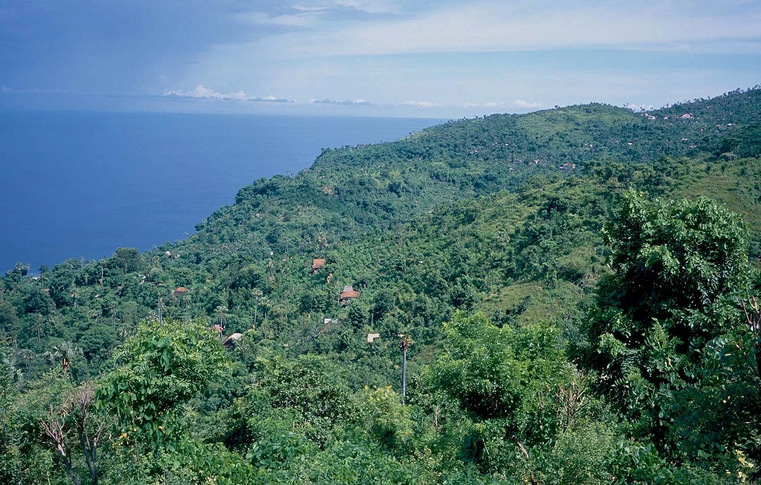 going to ahmed 4.jpg