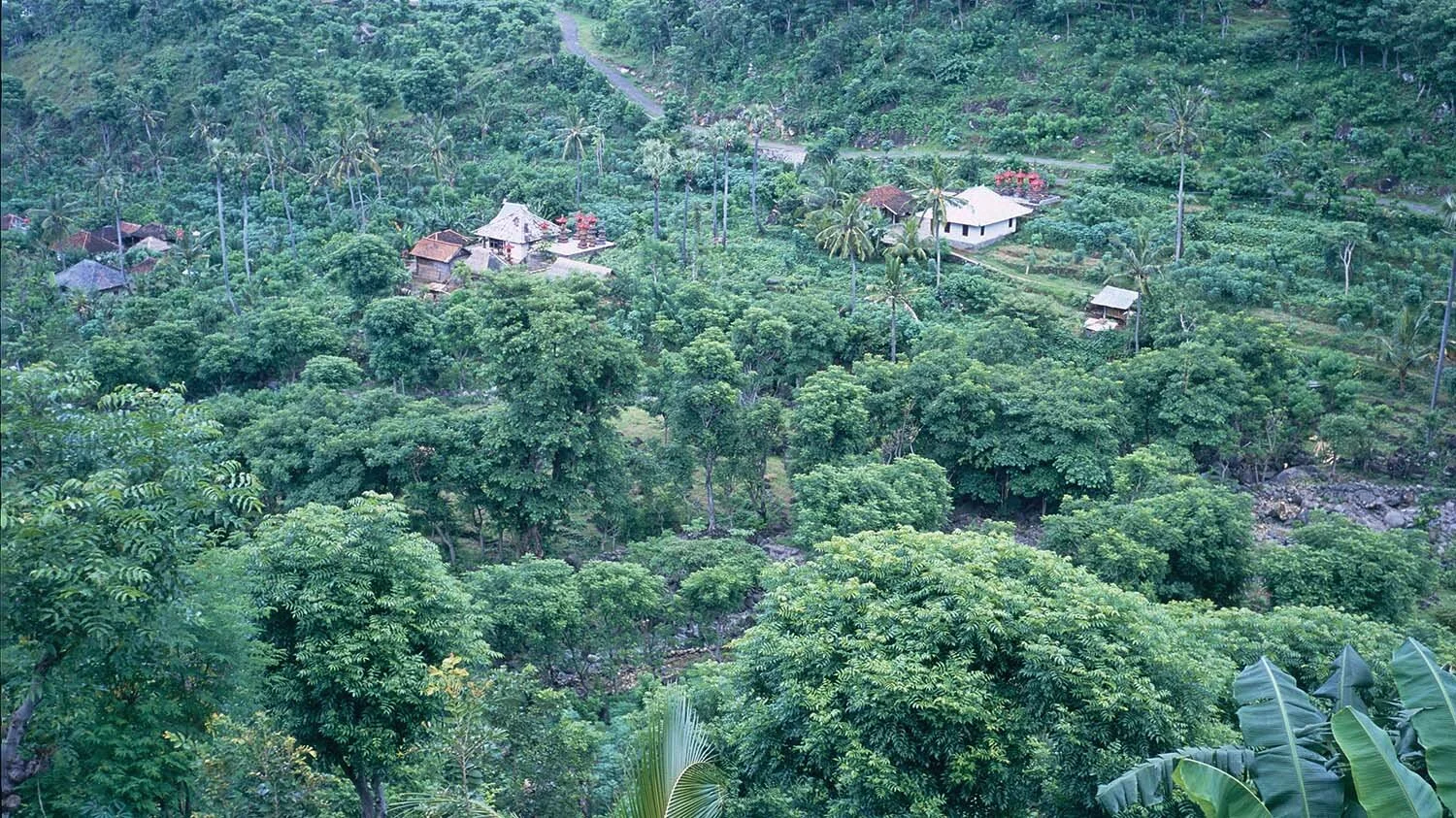 going to ahmed village view.jpg