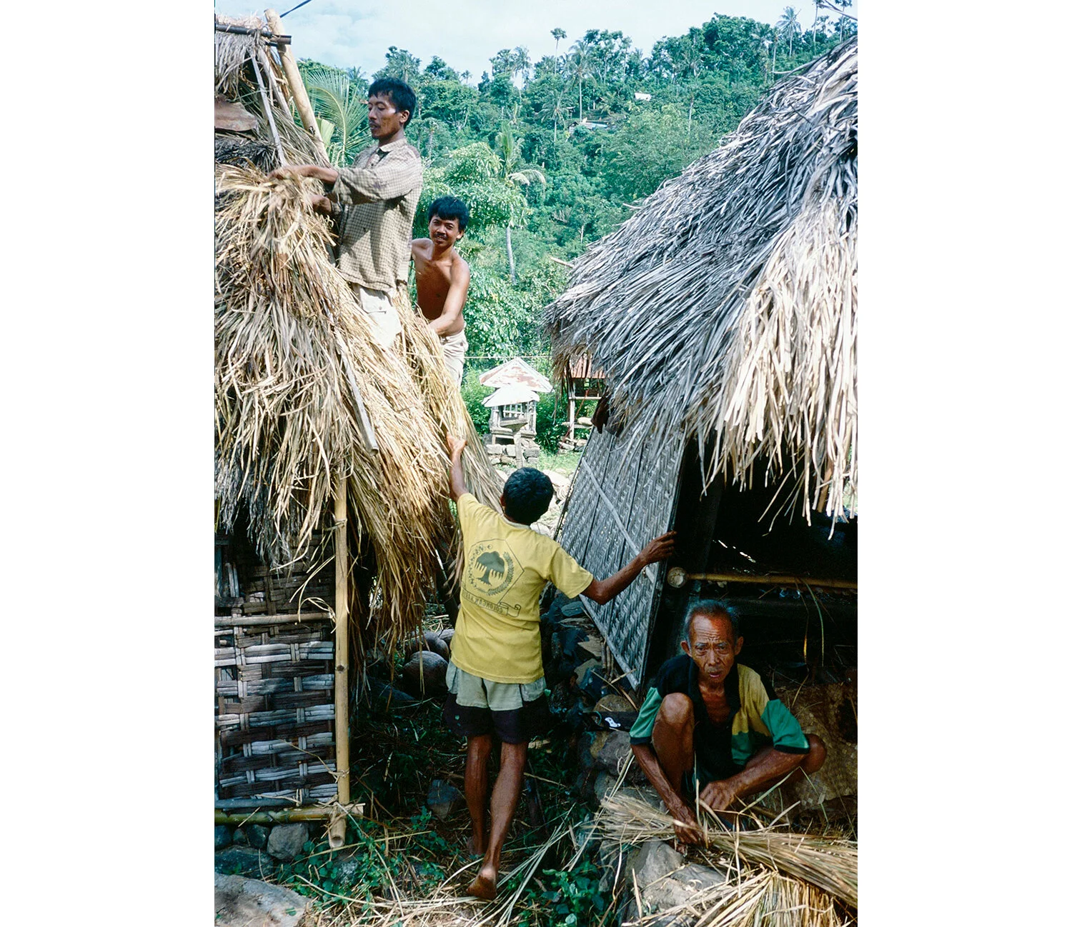 Traditional hut making