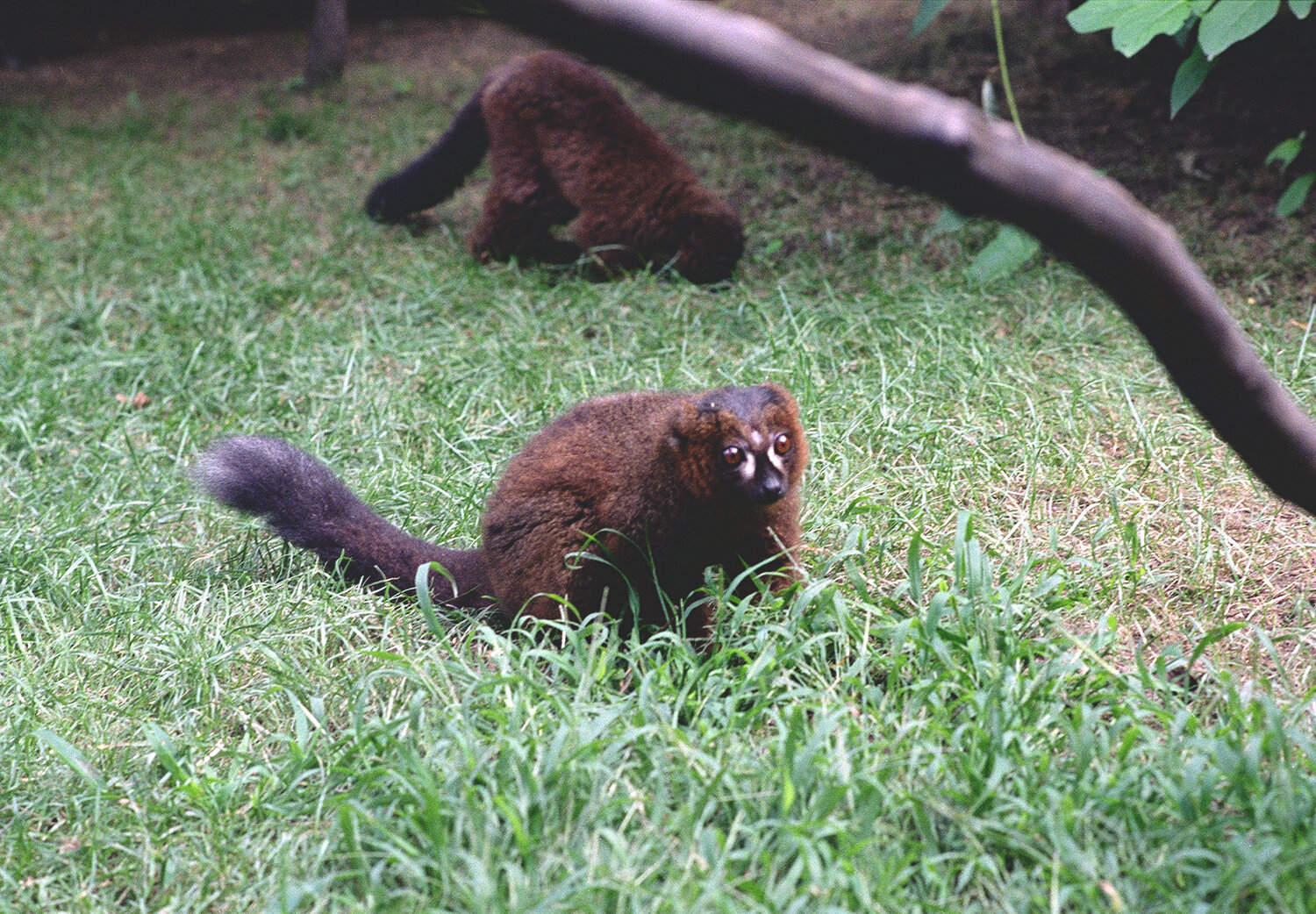 zoo-providence.jpg