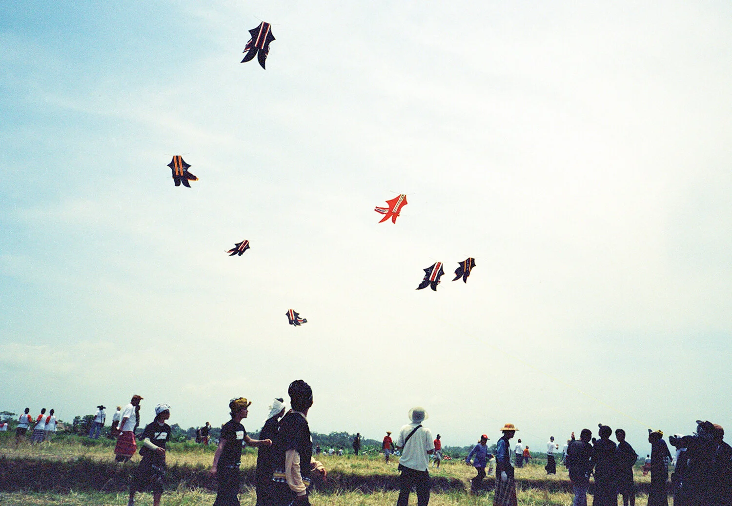 bali-kites.jpg