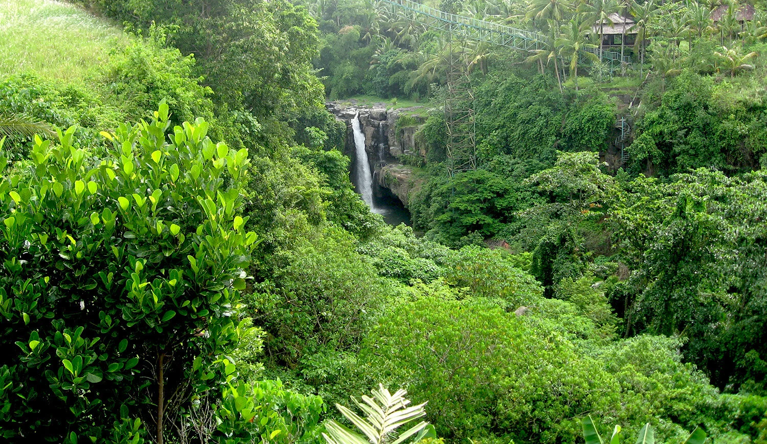 bali-waterfall.jpg