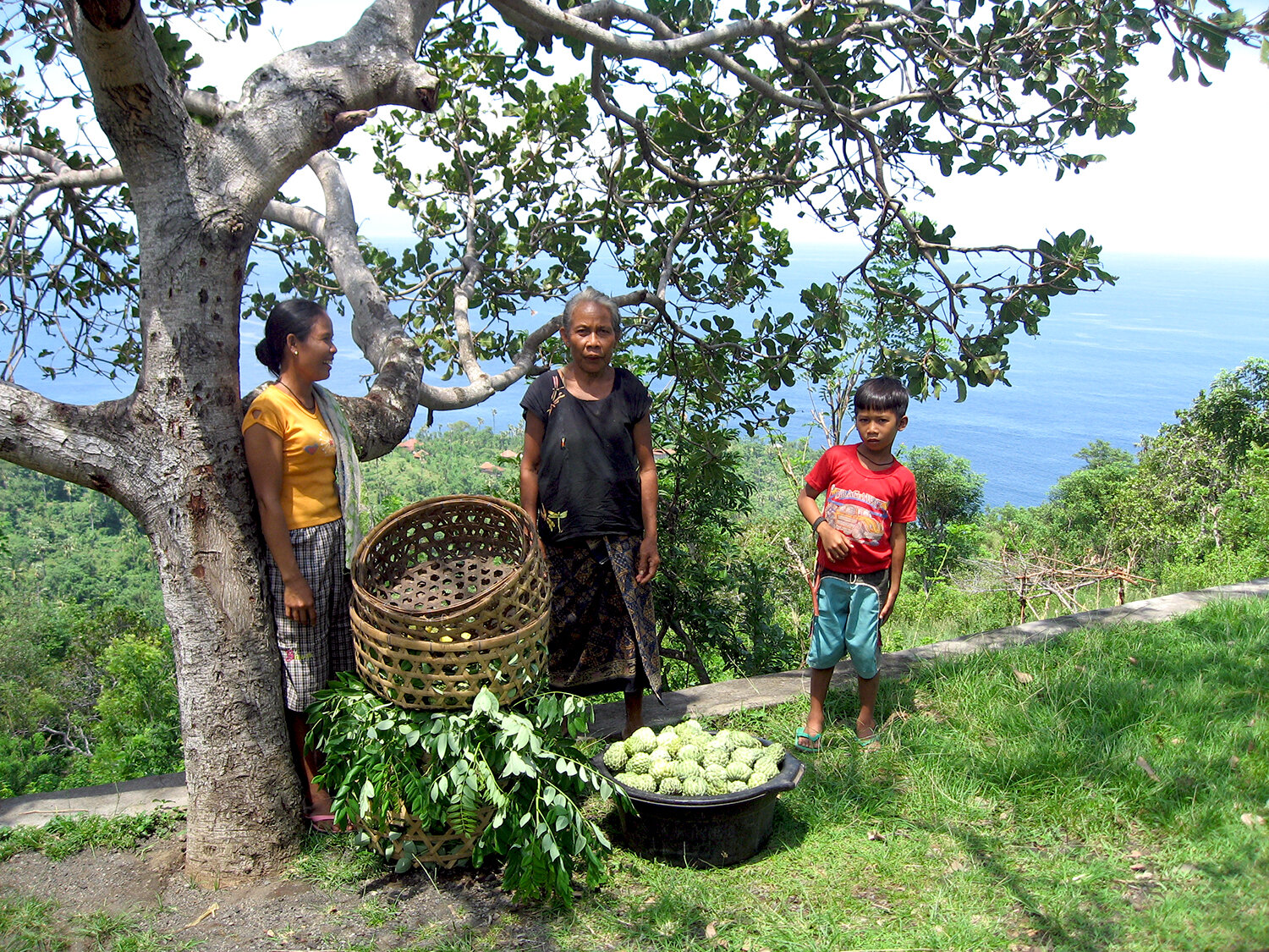 going-ahmed-selling-fruit.jpg