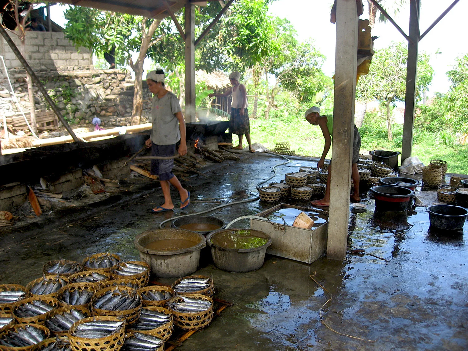 going-to amed-salting-fish .jpg