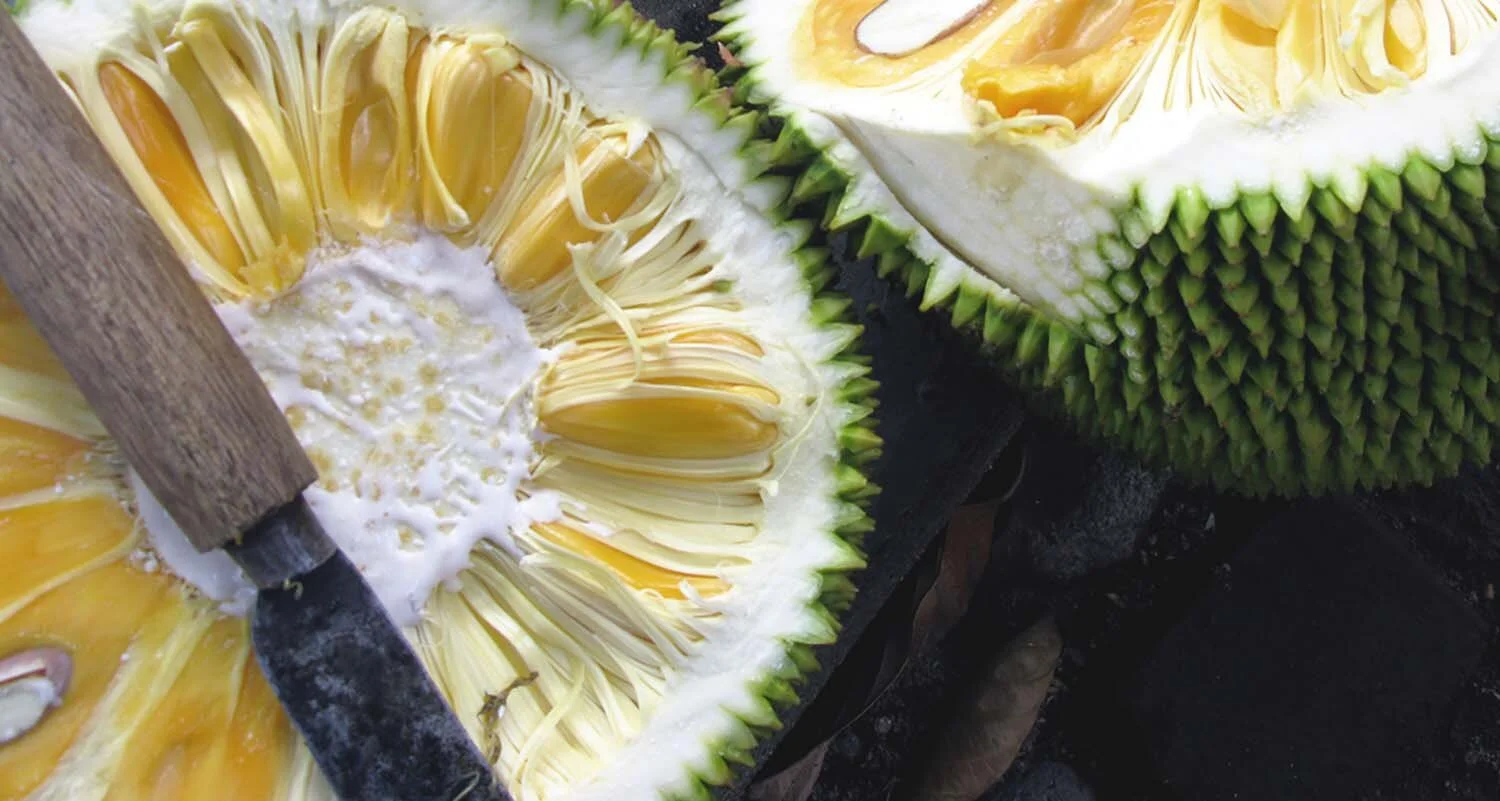 jackfruit.jpg