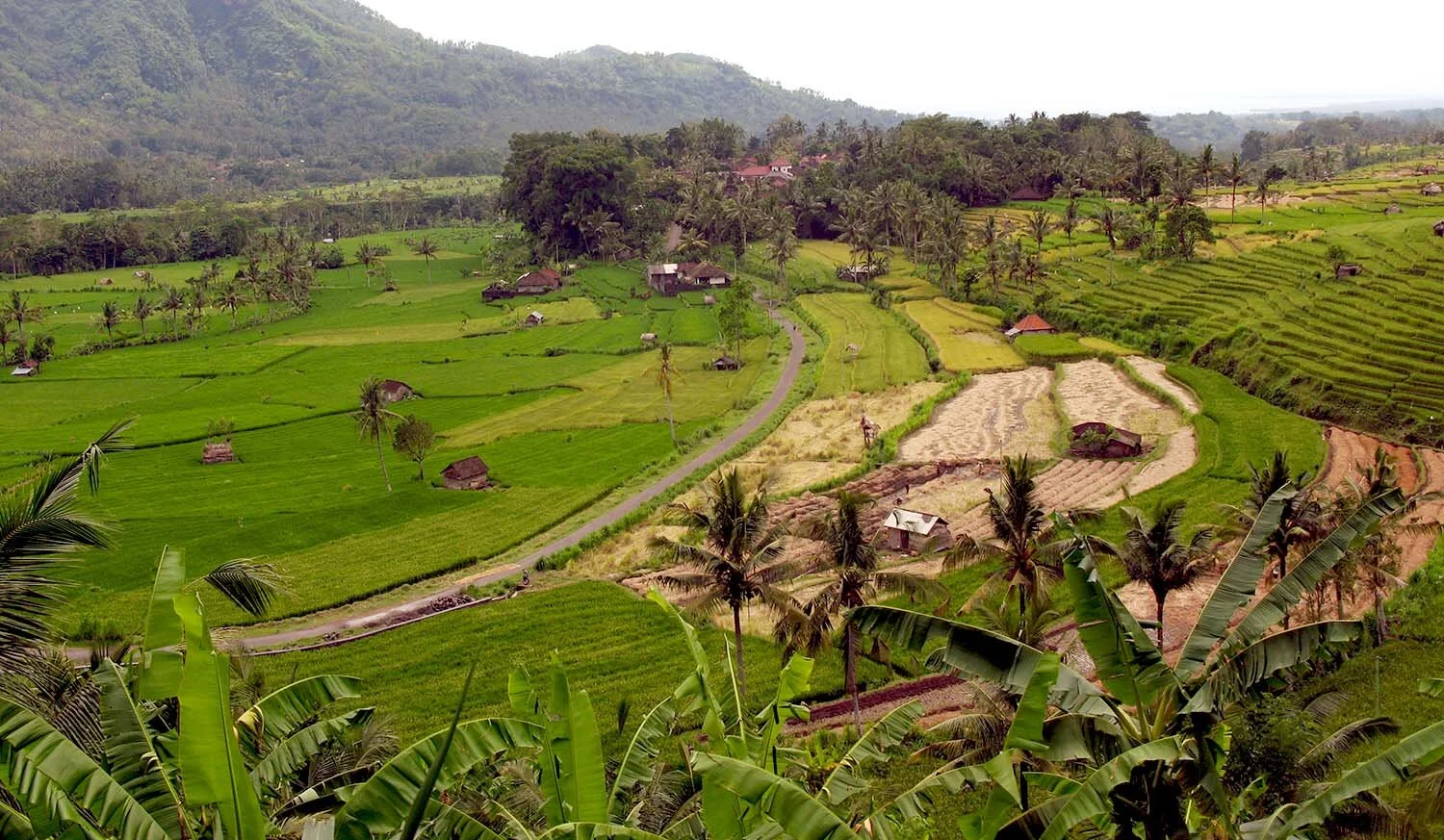 sidemen-area-bali.jpg