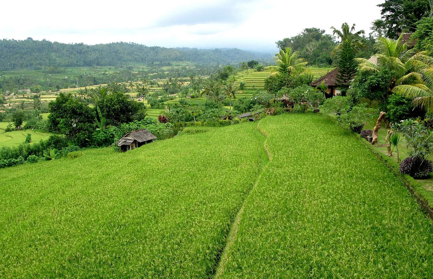 sidemen-area-bali.jpg