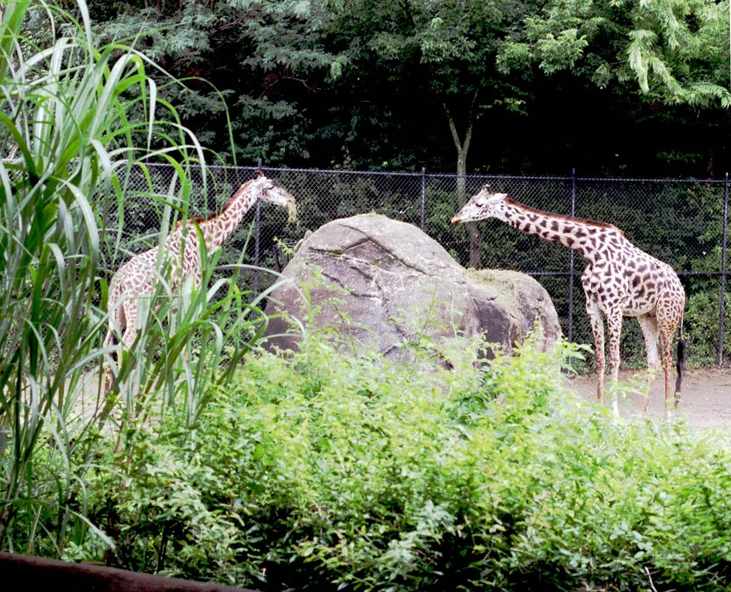 providence-ri-zoo.jpg