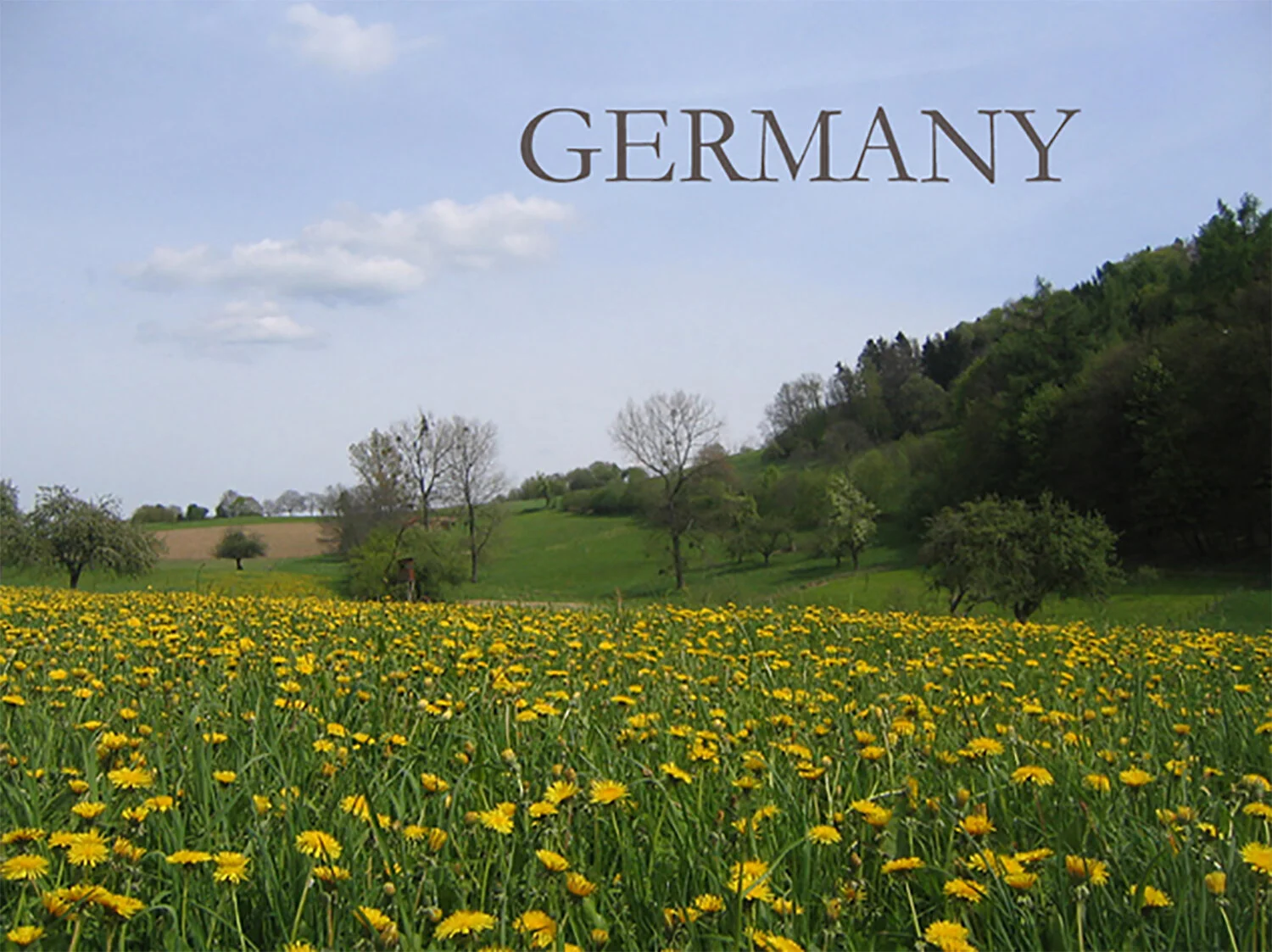 germany.jpg