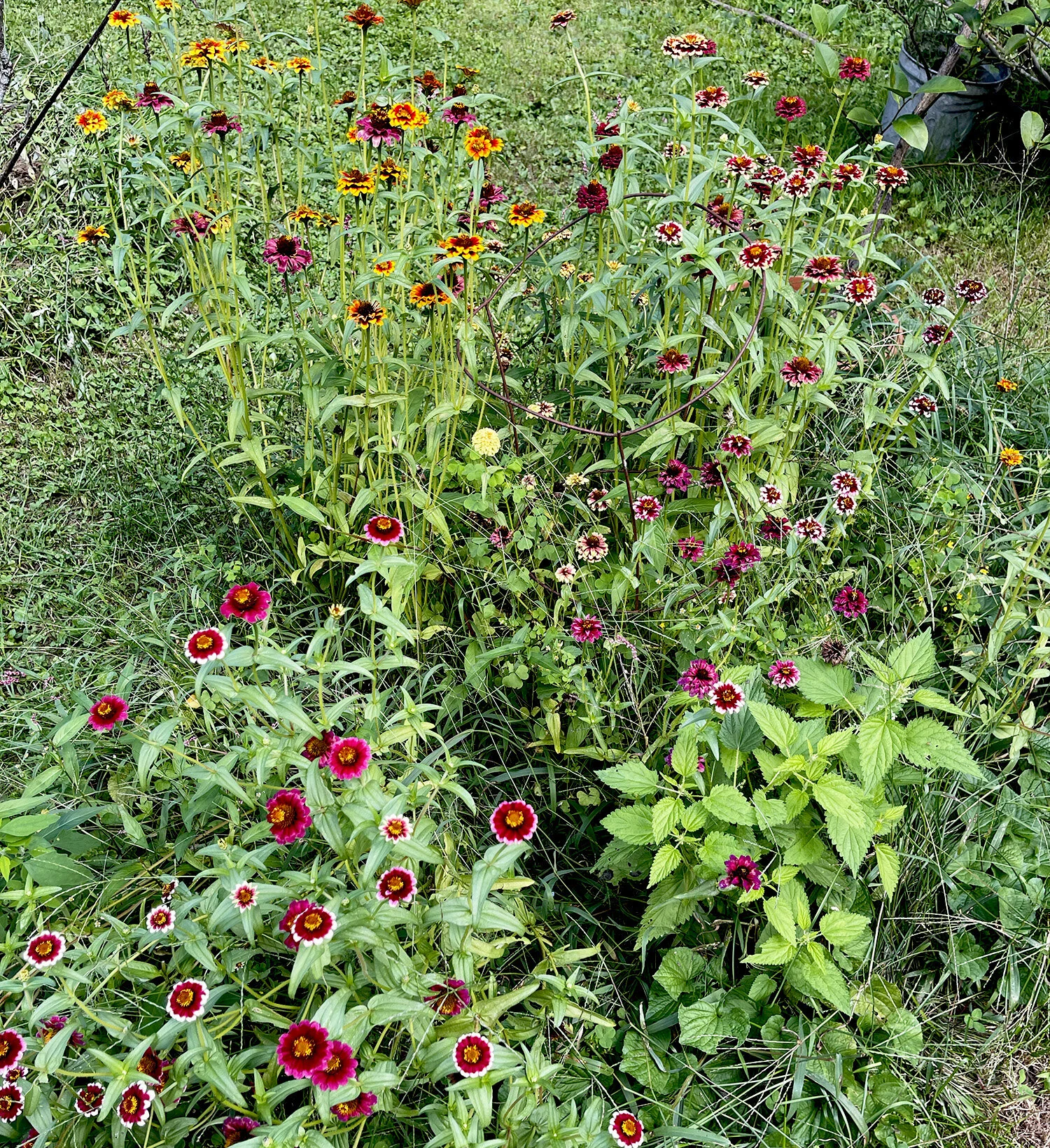 Decorative flowers