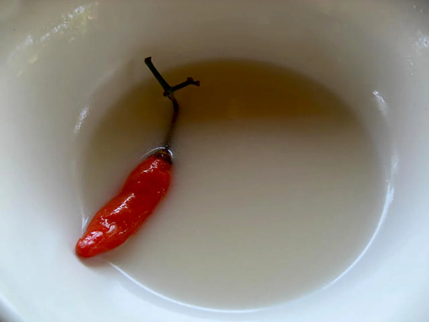 CHILI