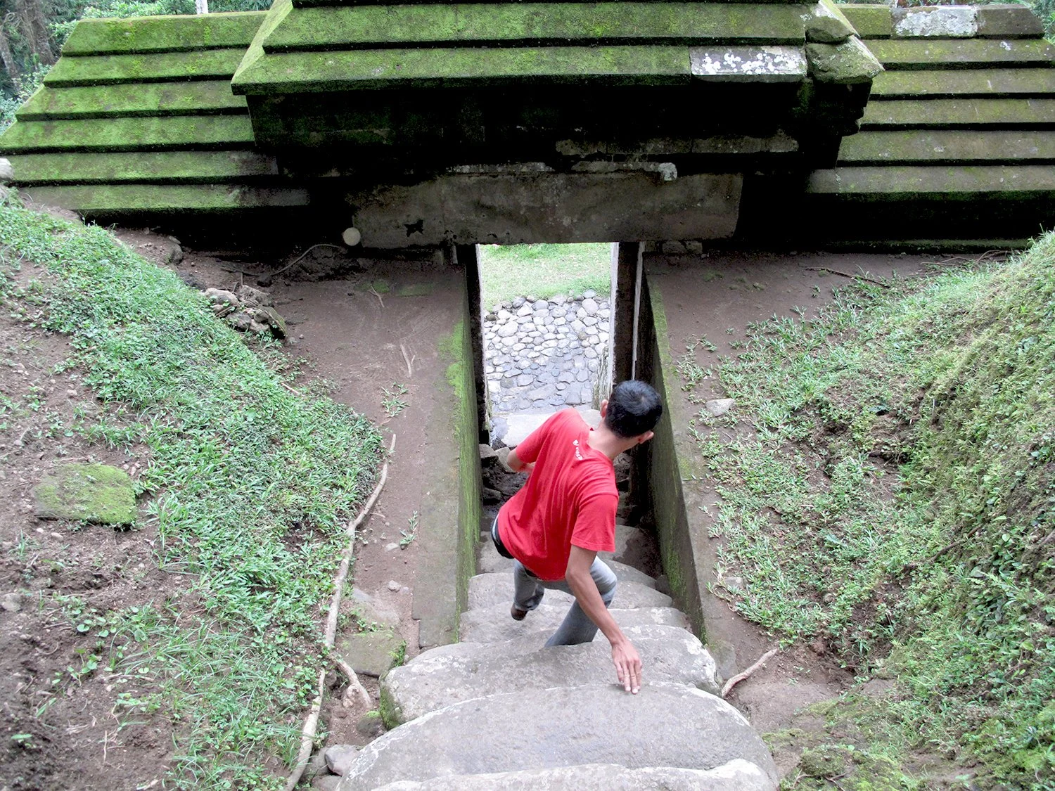 Entering the Jungle
