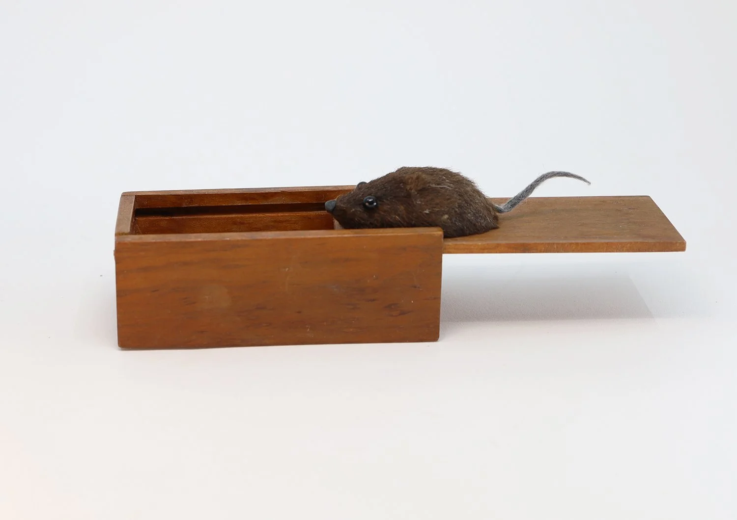 Mouse Trap
