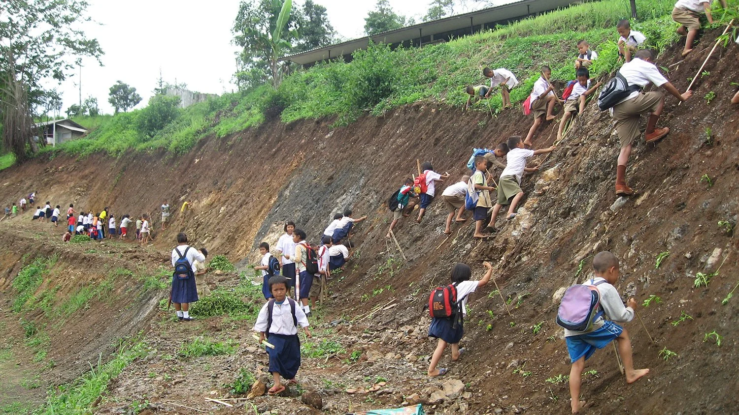 Thai School Children Planting Trees
