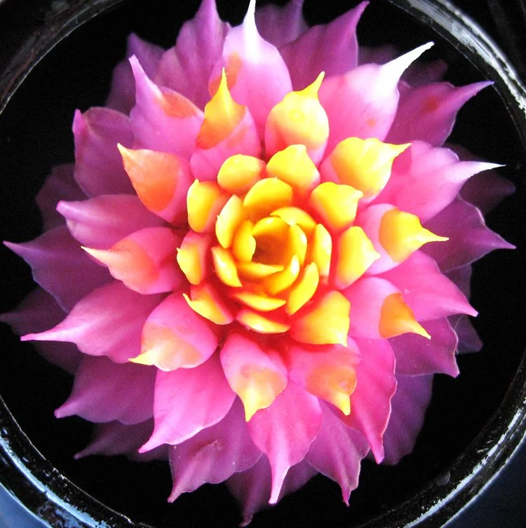 KAE SA LUK