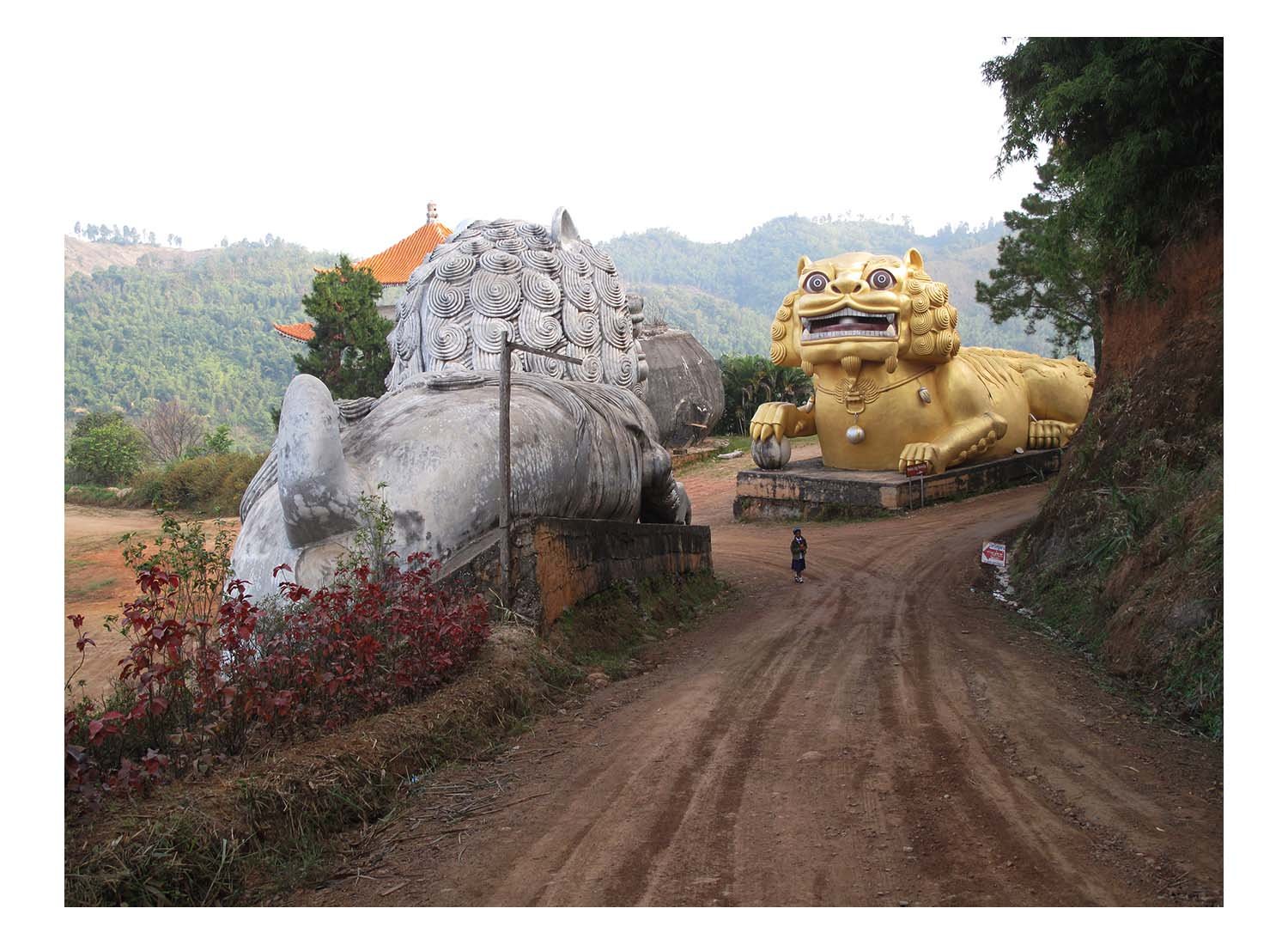 Wang Put Tea Farm Area of Thailand