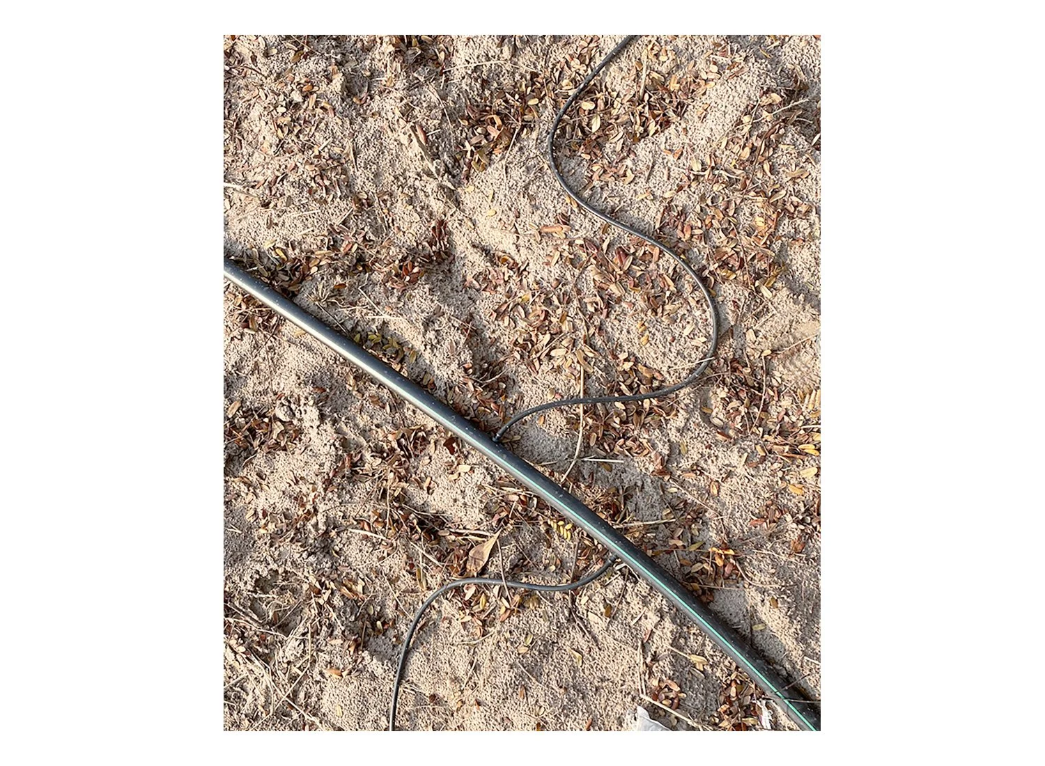 Gardening in Doi Sacket, Thailand