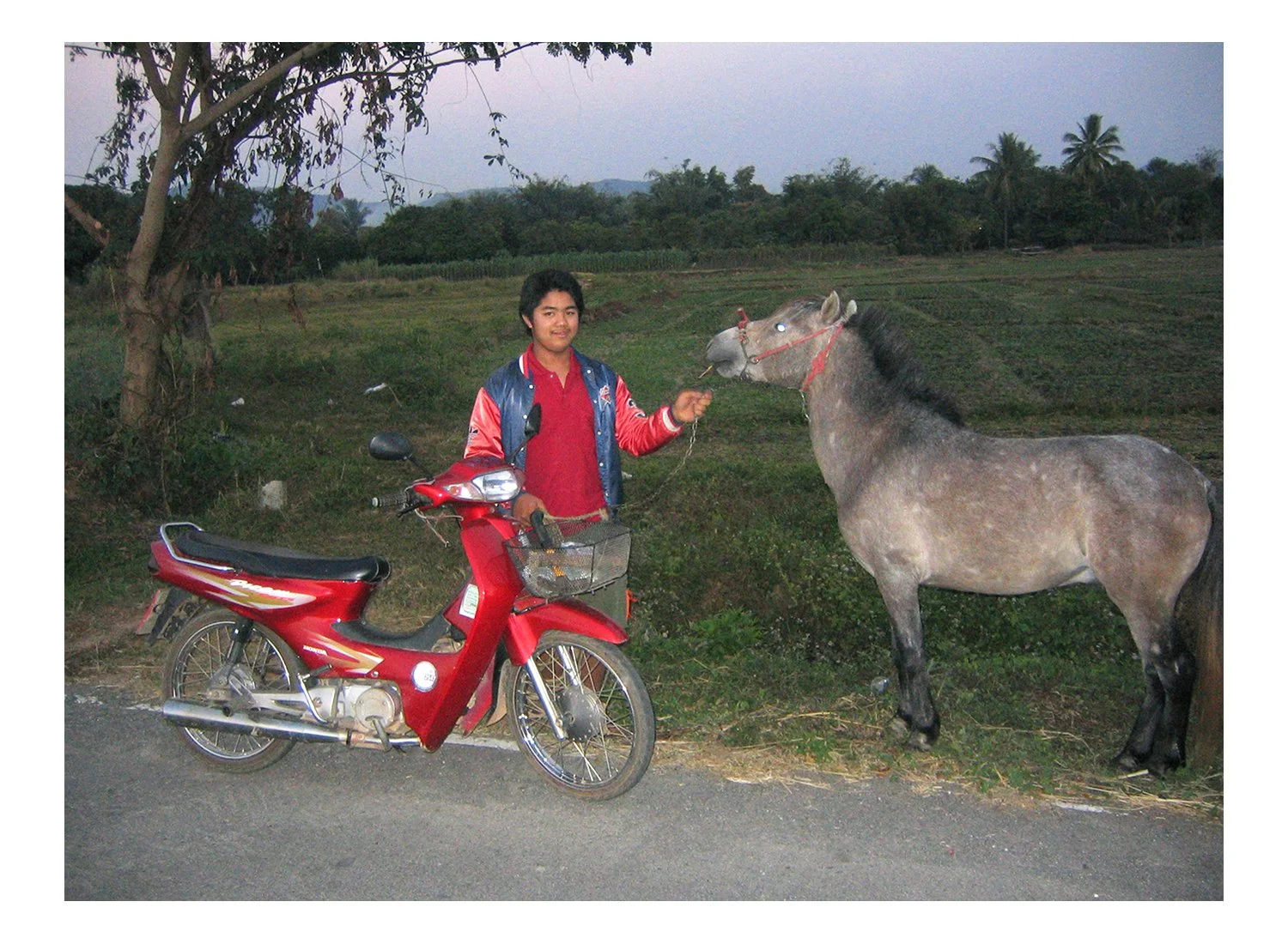 Feb 17, 2026 Year of the Horse