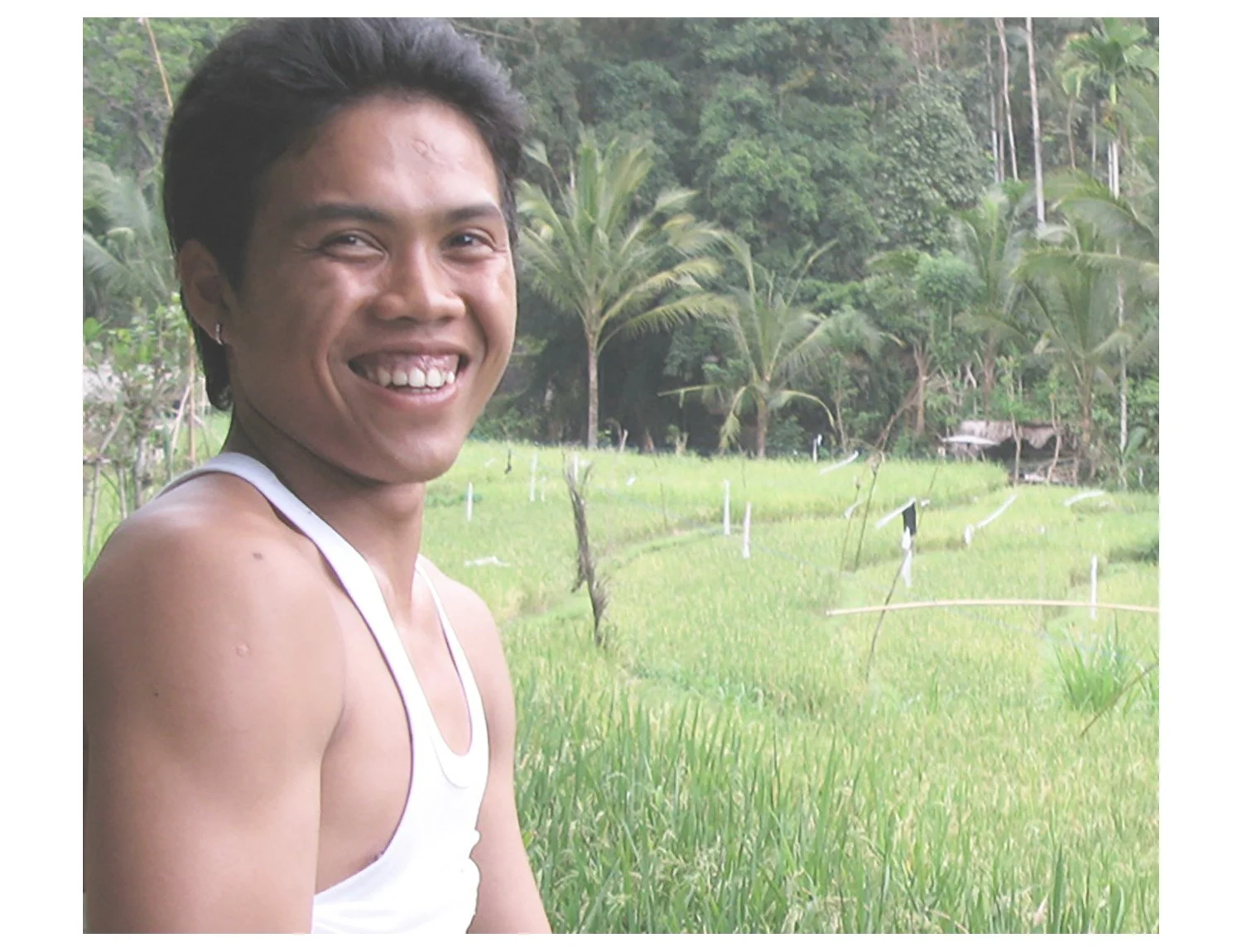 Balinesian Rice Fields