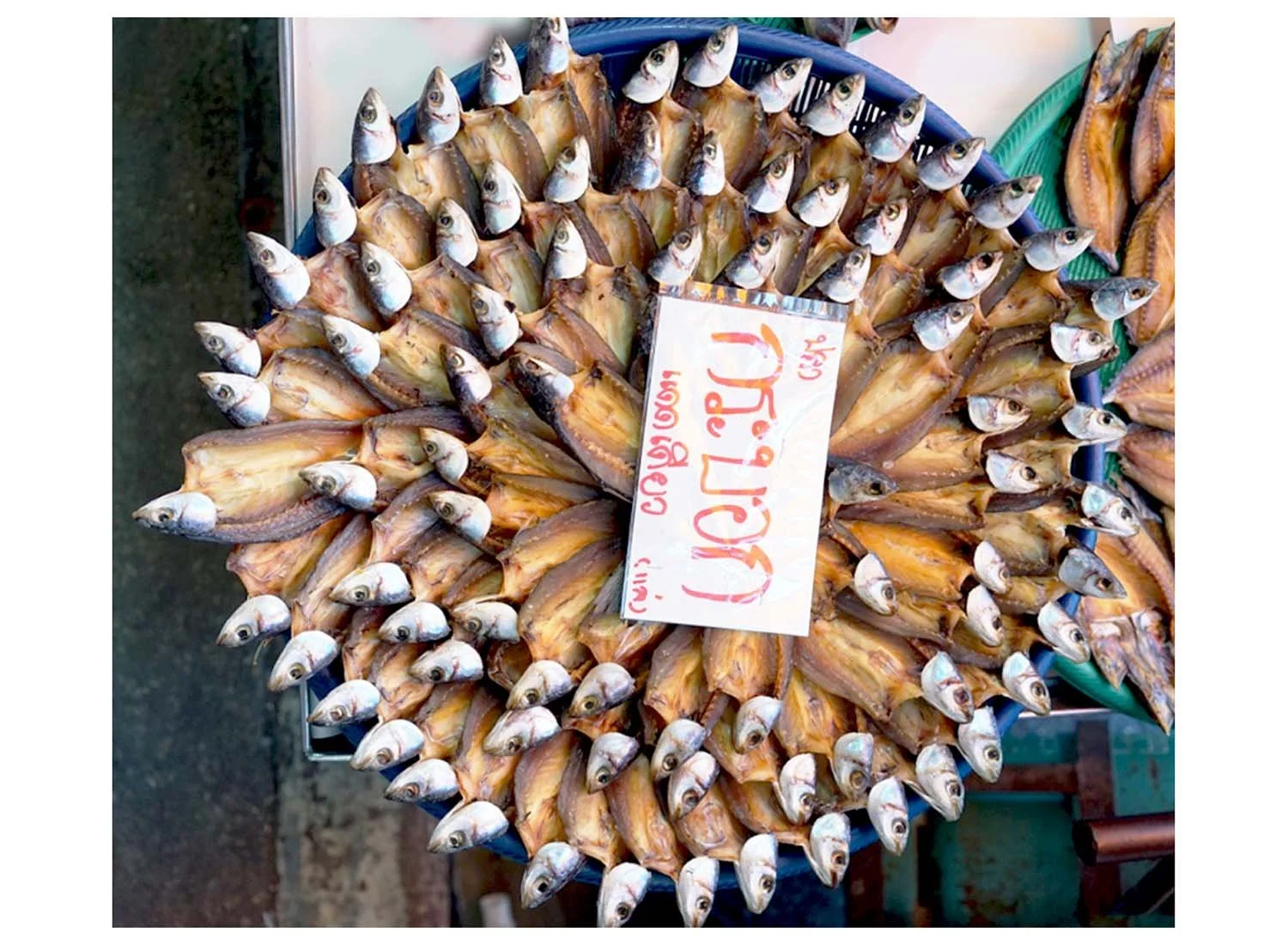 Samut Songhram Province, Thailand