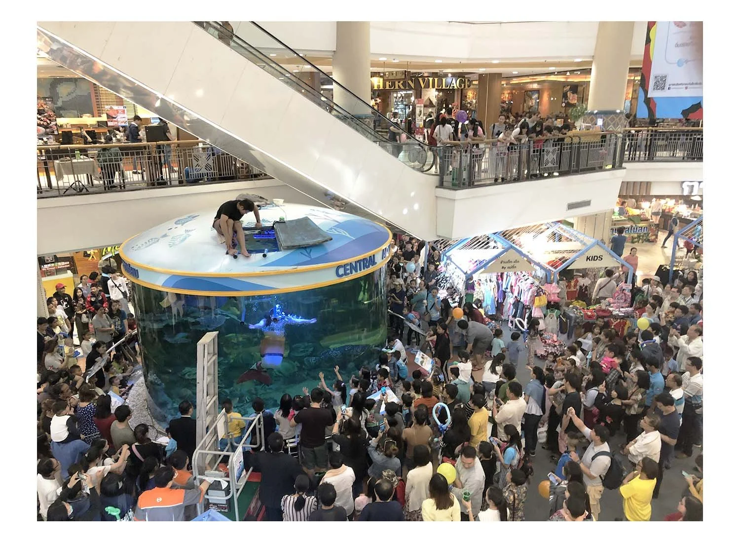 Mermaid Show