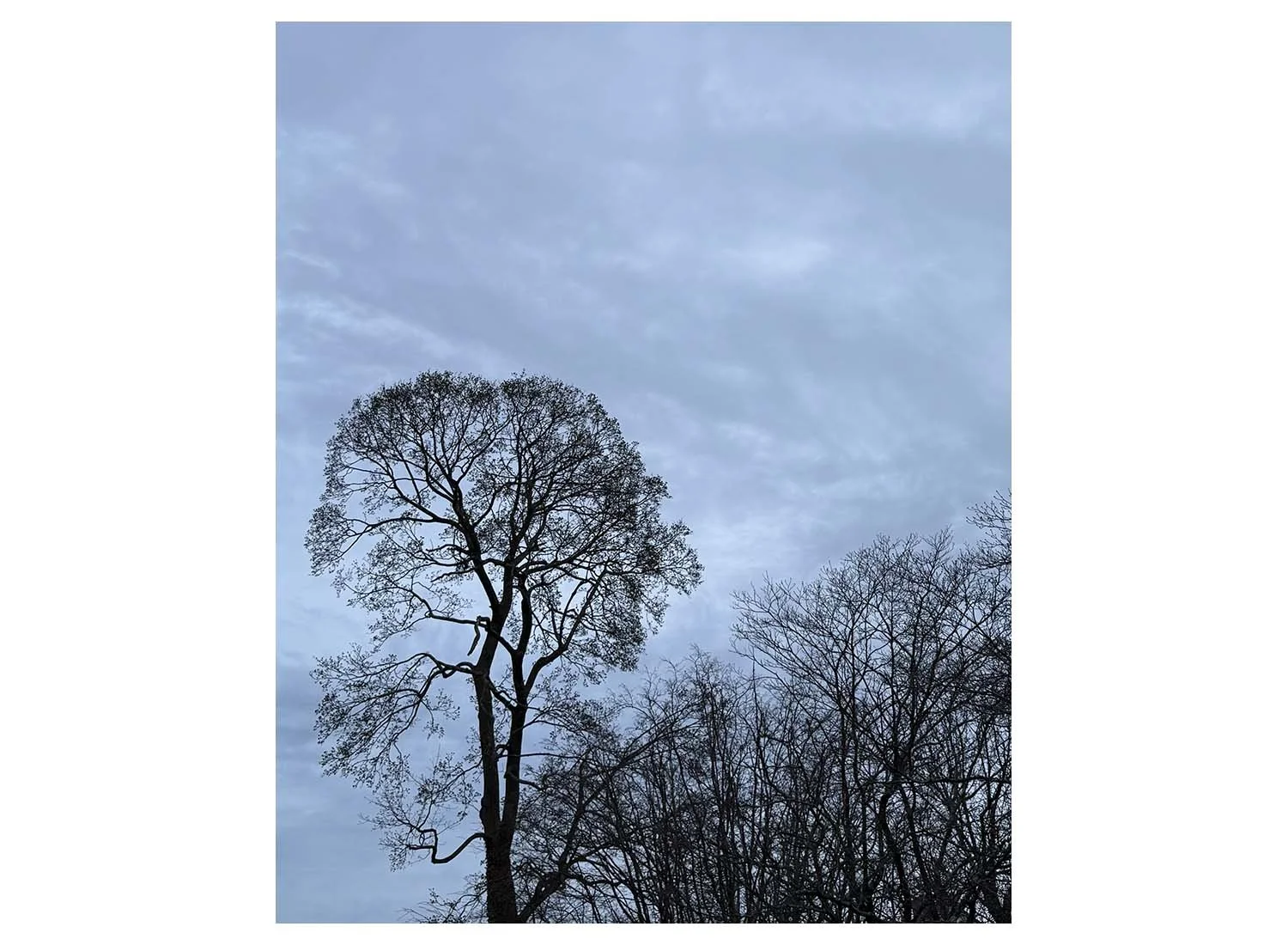 April 12 