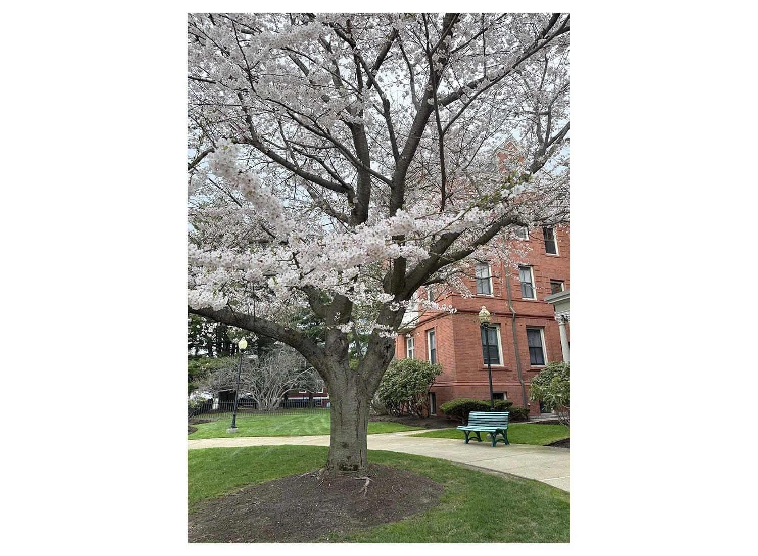 April 15