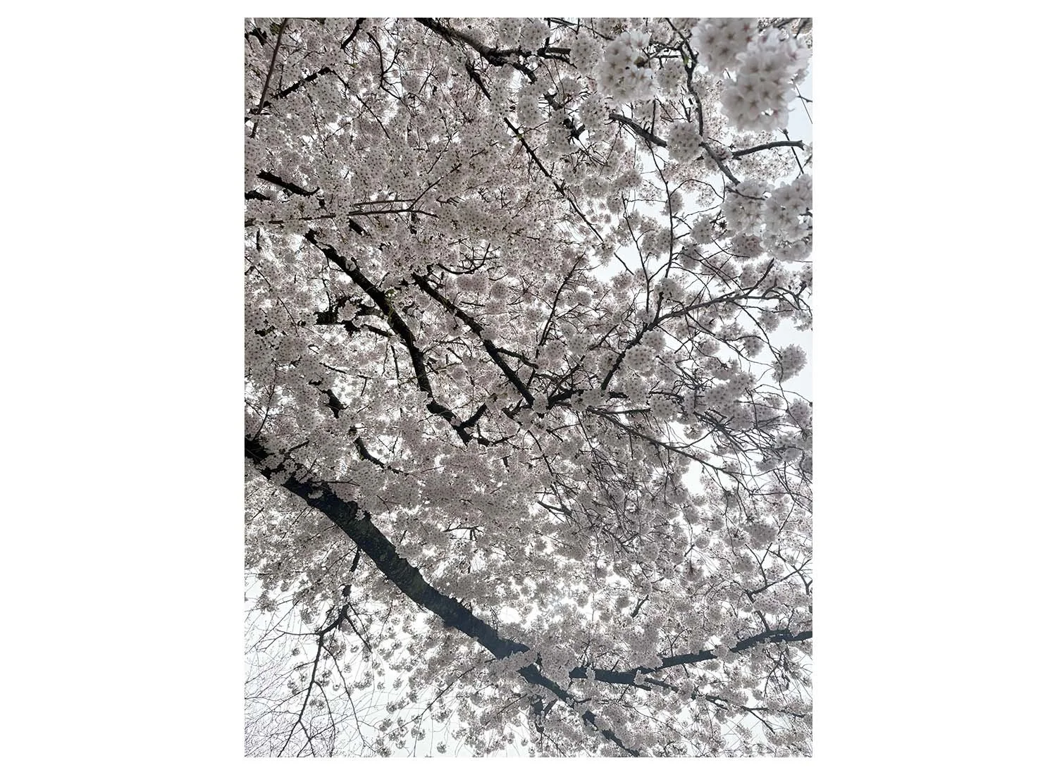 April 16