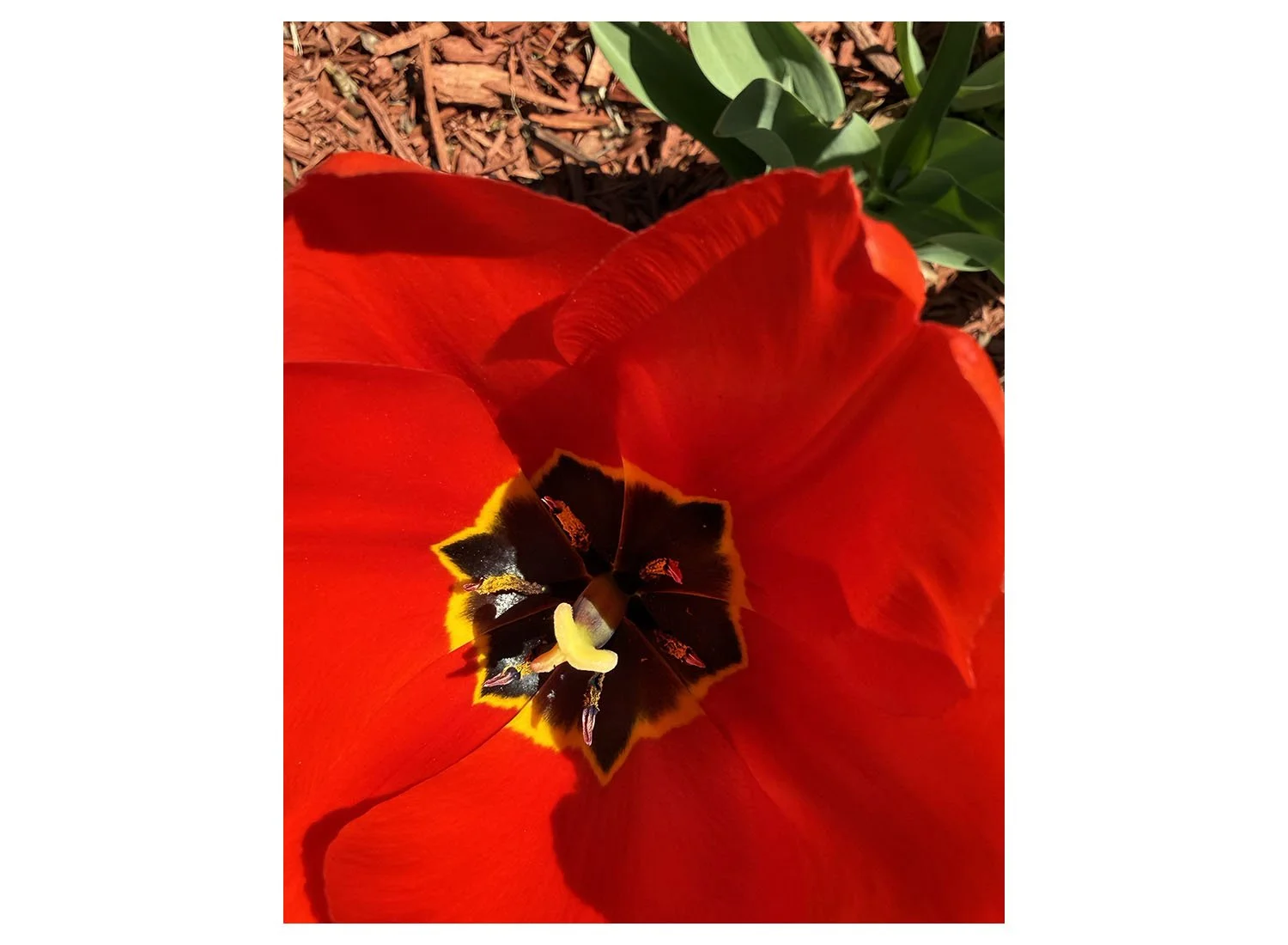 April 27