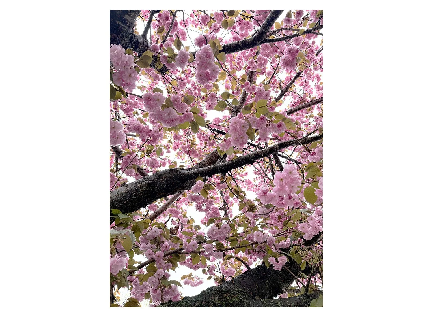 April 30