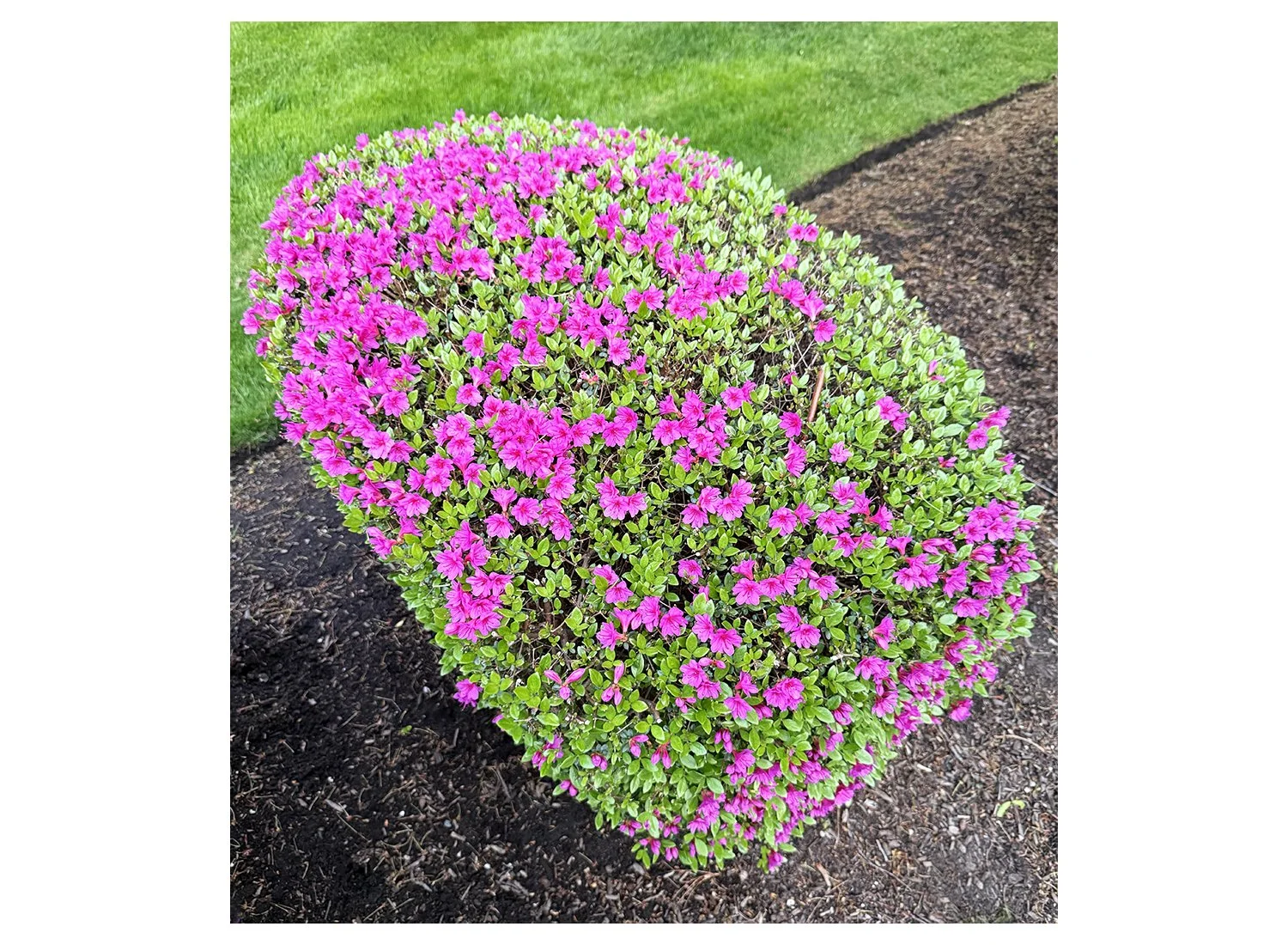 May 8