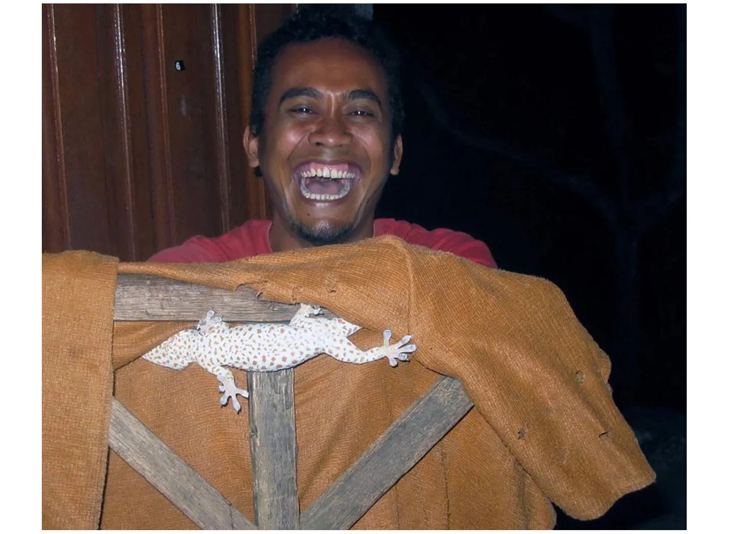Gecko