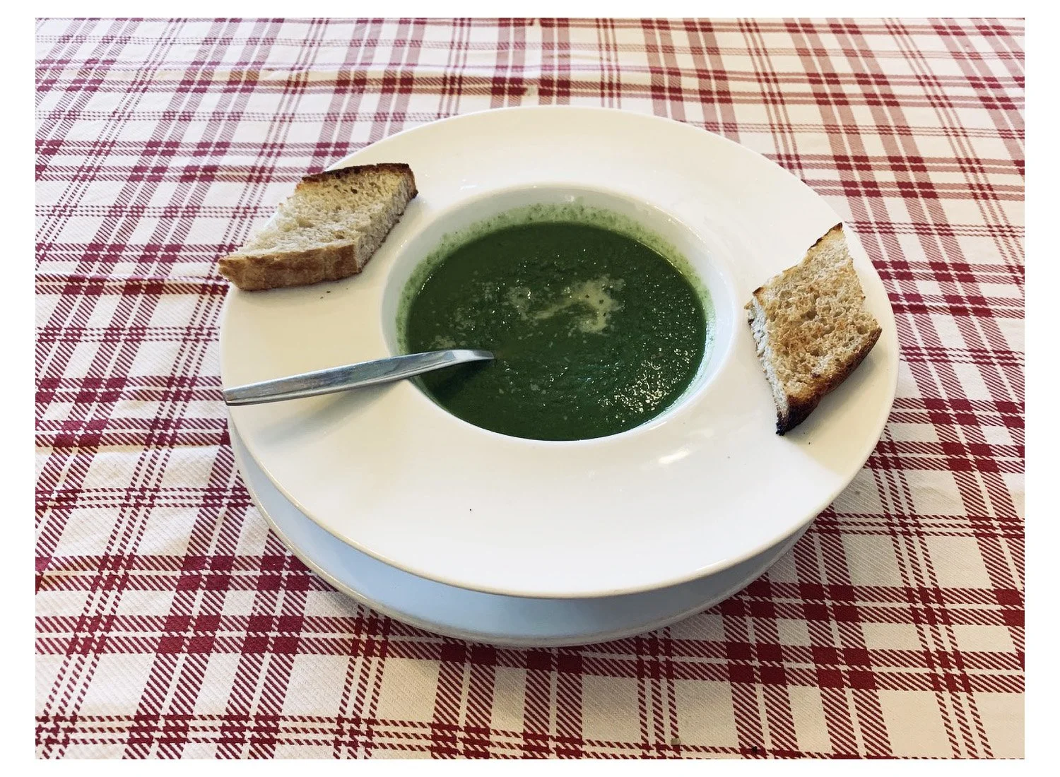 Spinach Soup with the Vitamix