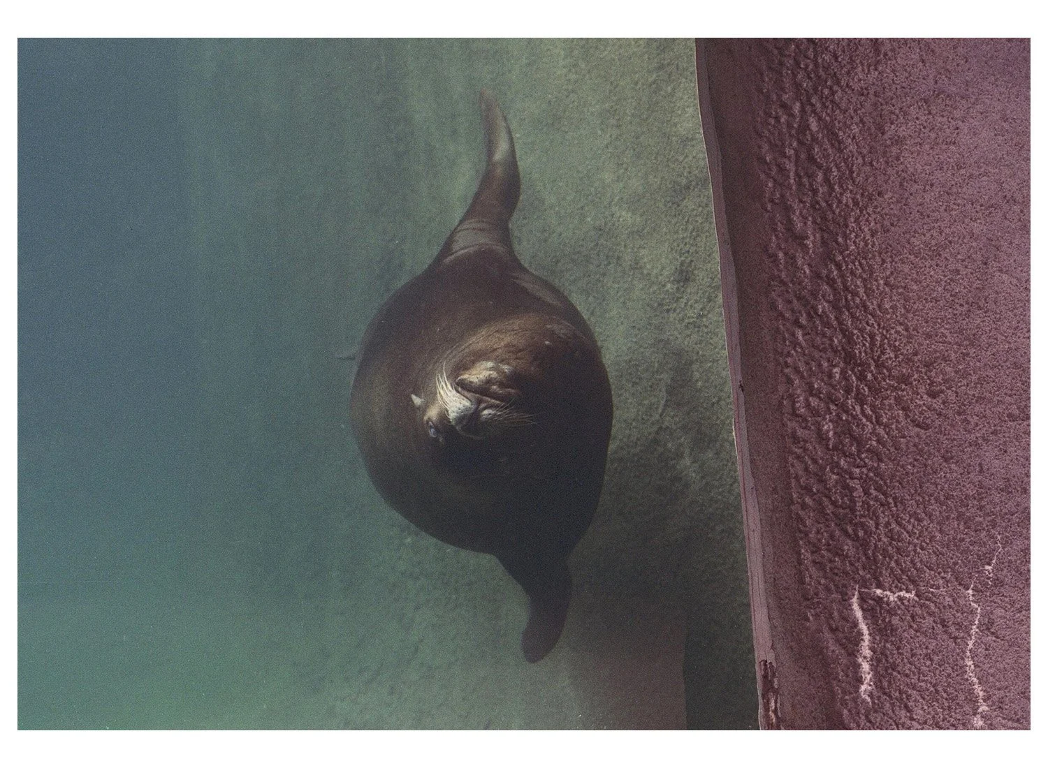 Providence, RI  Zoo