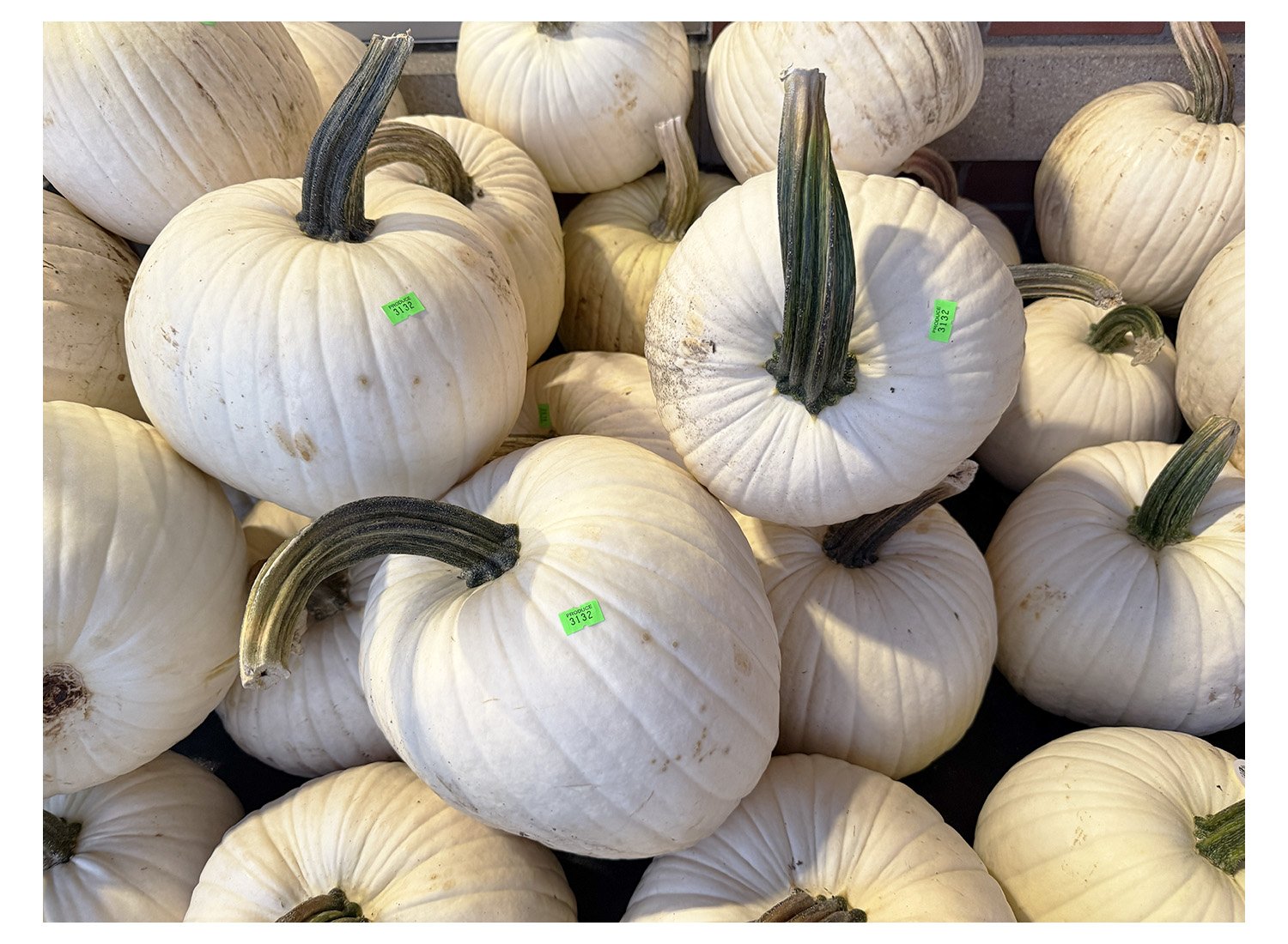White Pumpkins